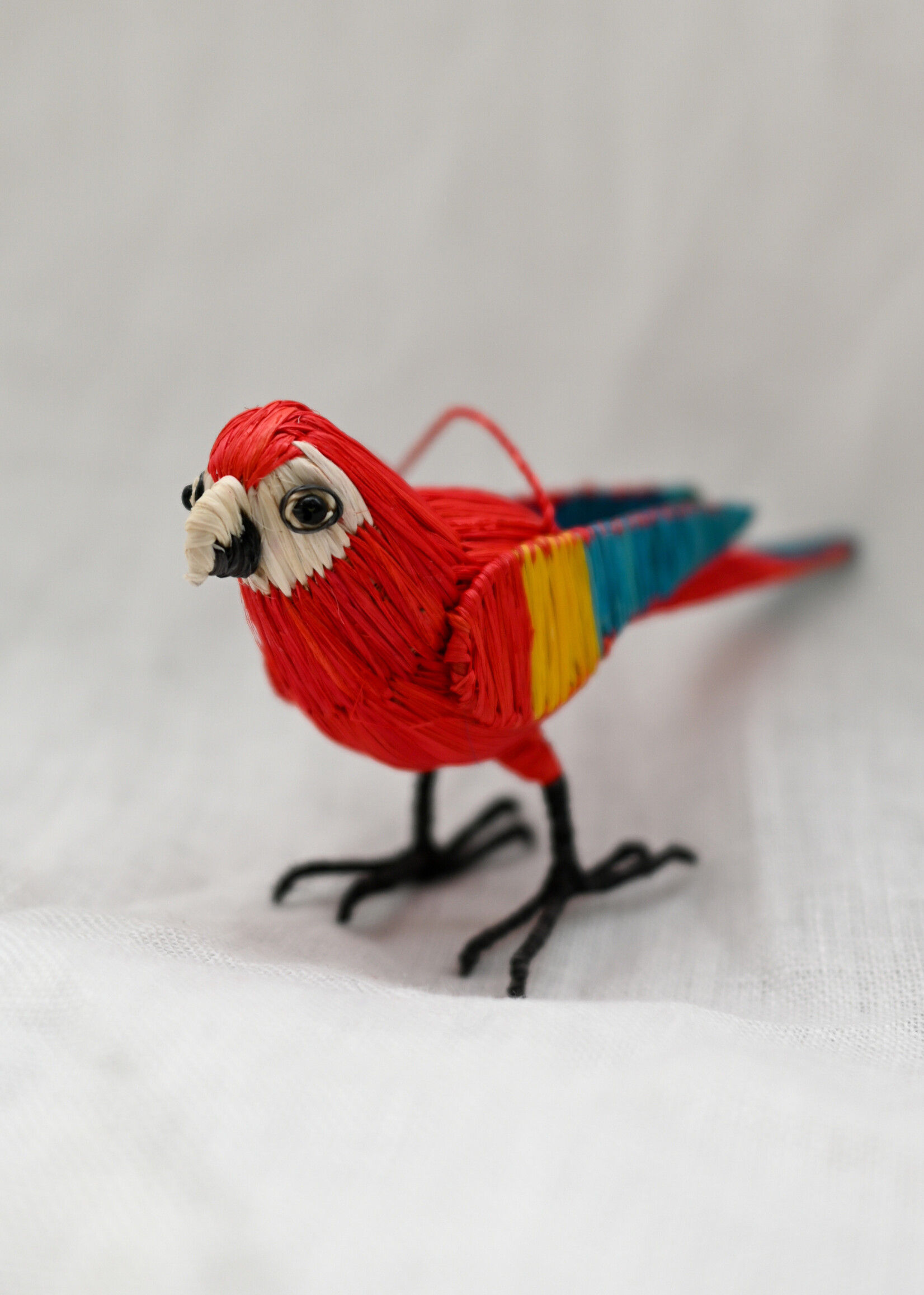 Amazon Ecology Scarlet Macaw Ornament