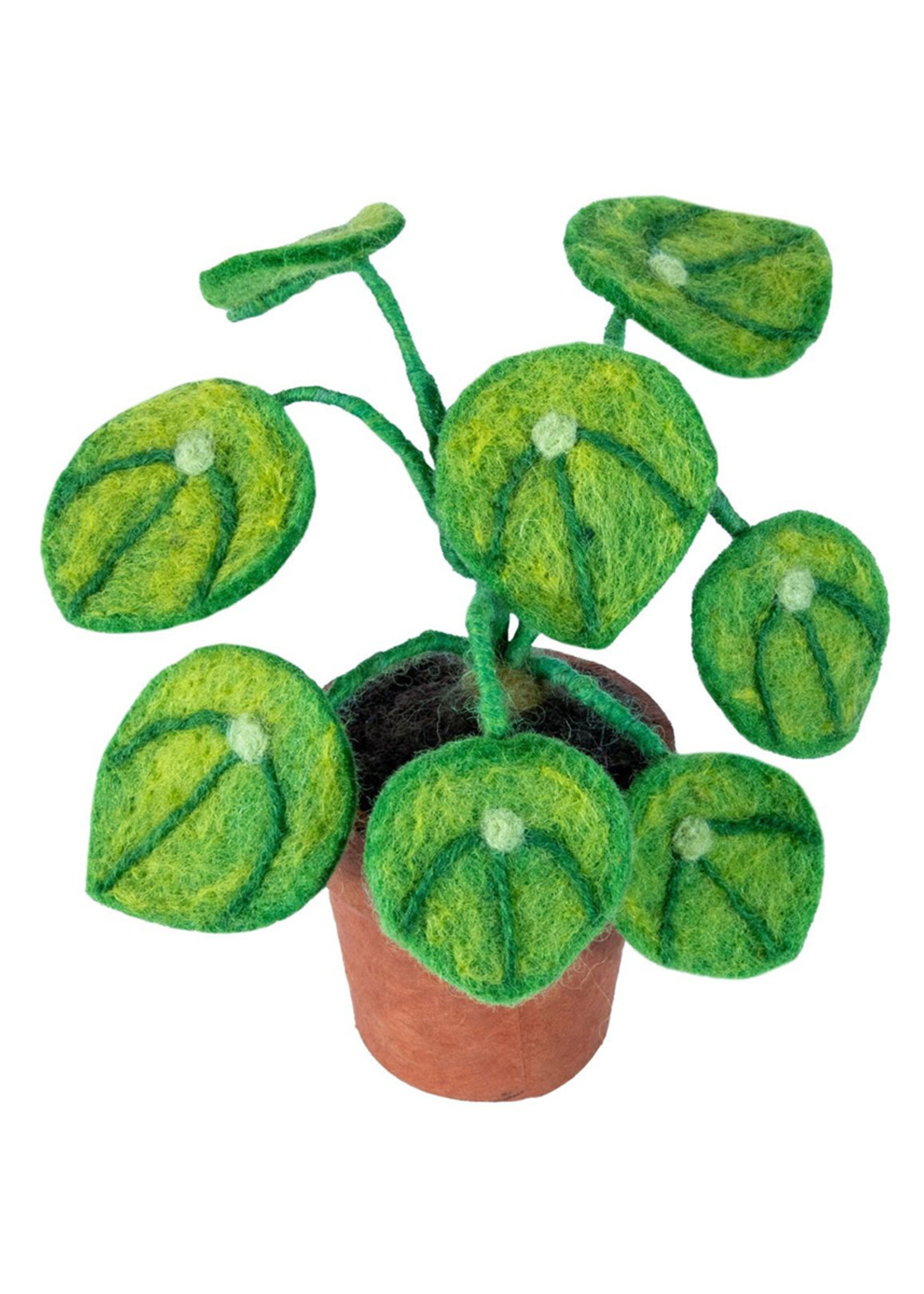 dZi Potted Felt Money Plant