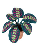 dZi Potted Felt Prayer Plant