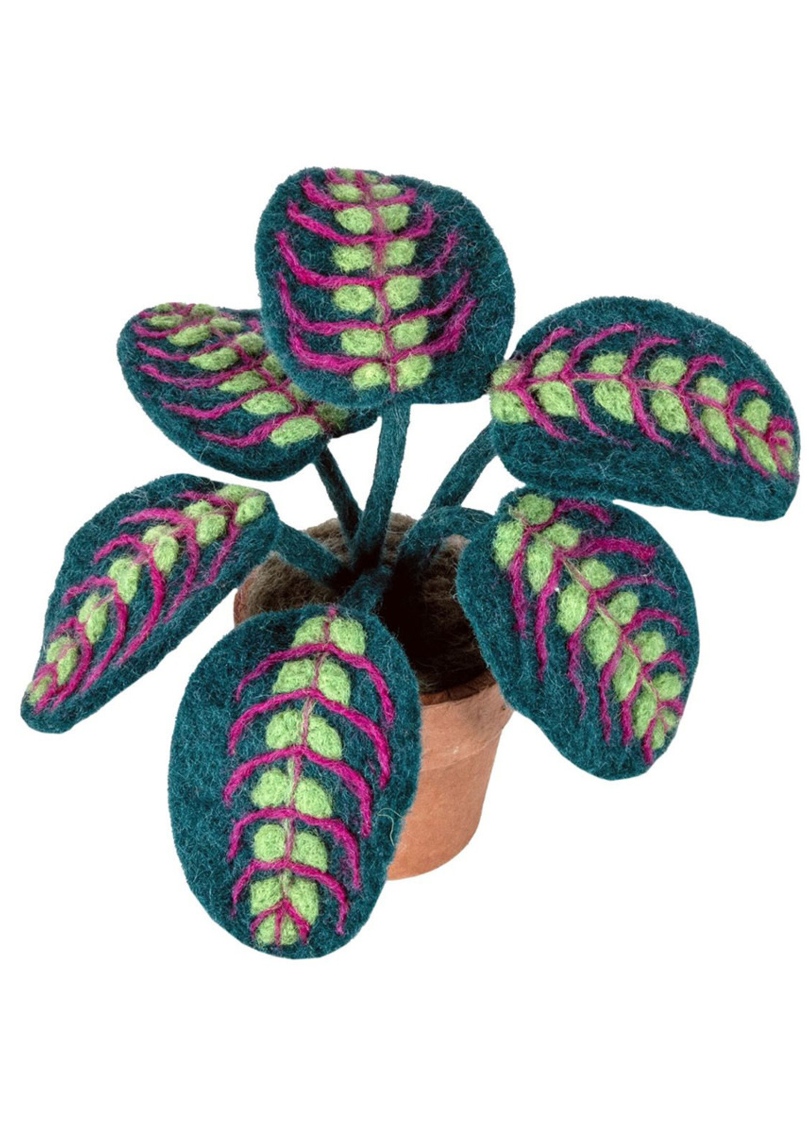 dZi Potted Felt Prayer Plant
