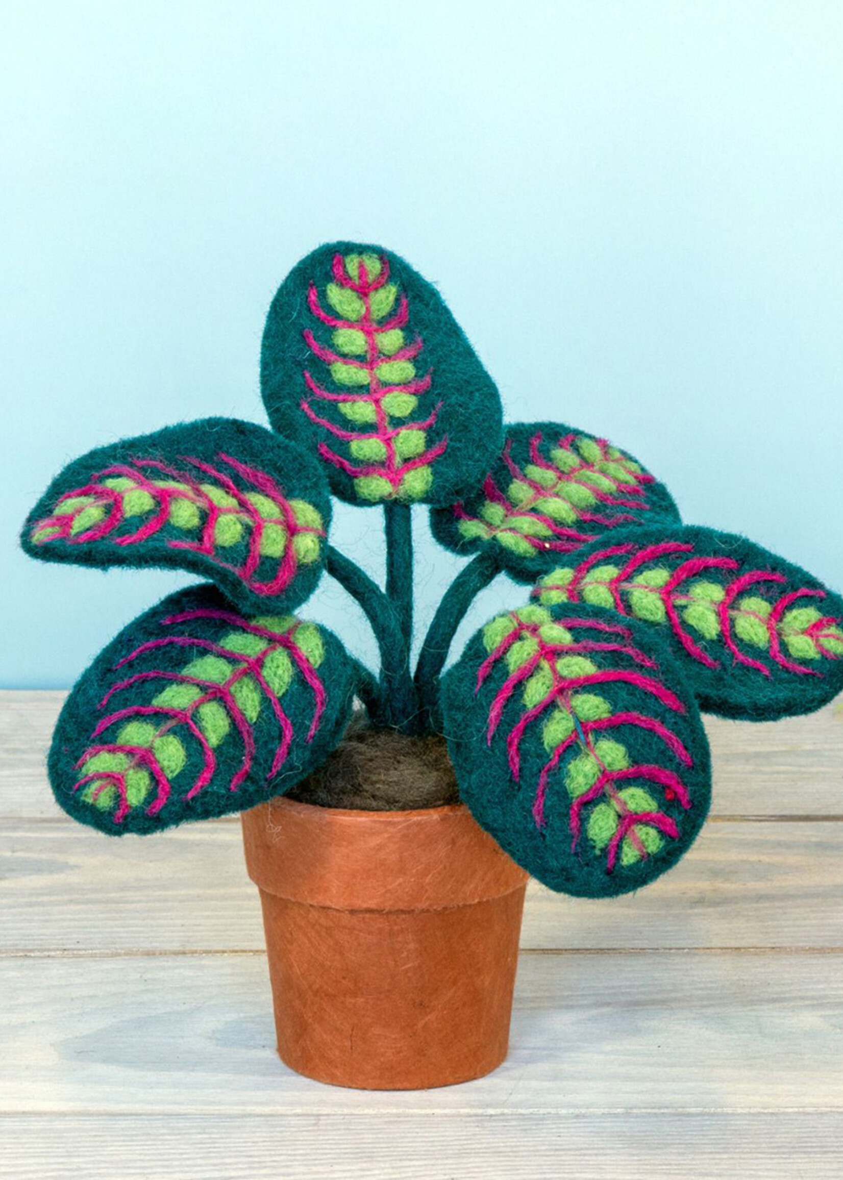 dZi Potted Felt Prayer Plant