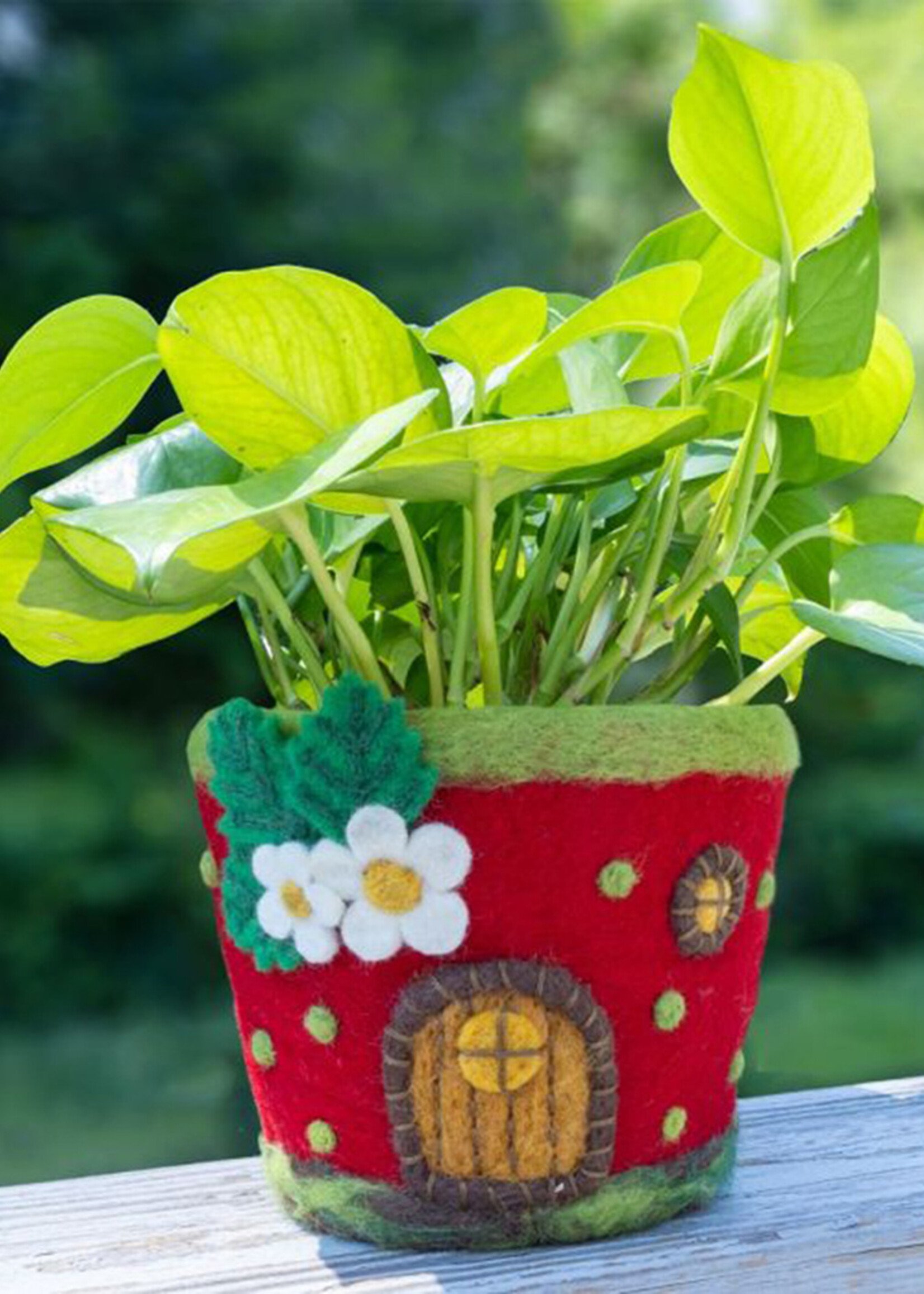 dZi Strawberry Cottage Felt Pot