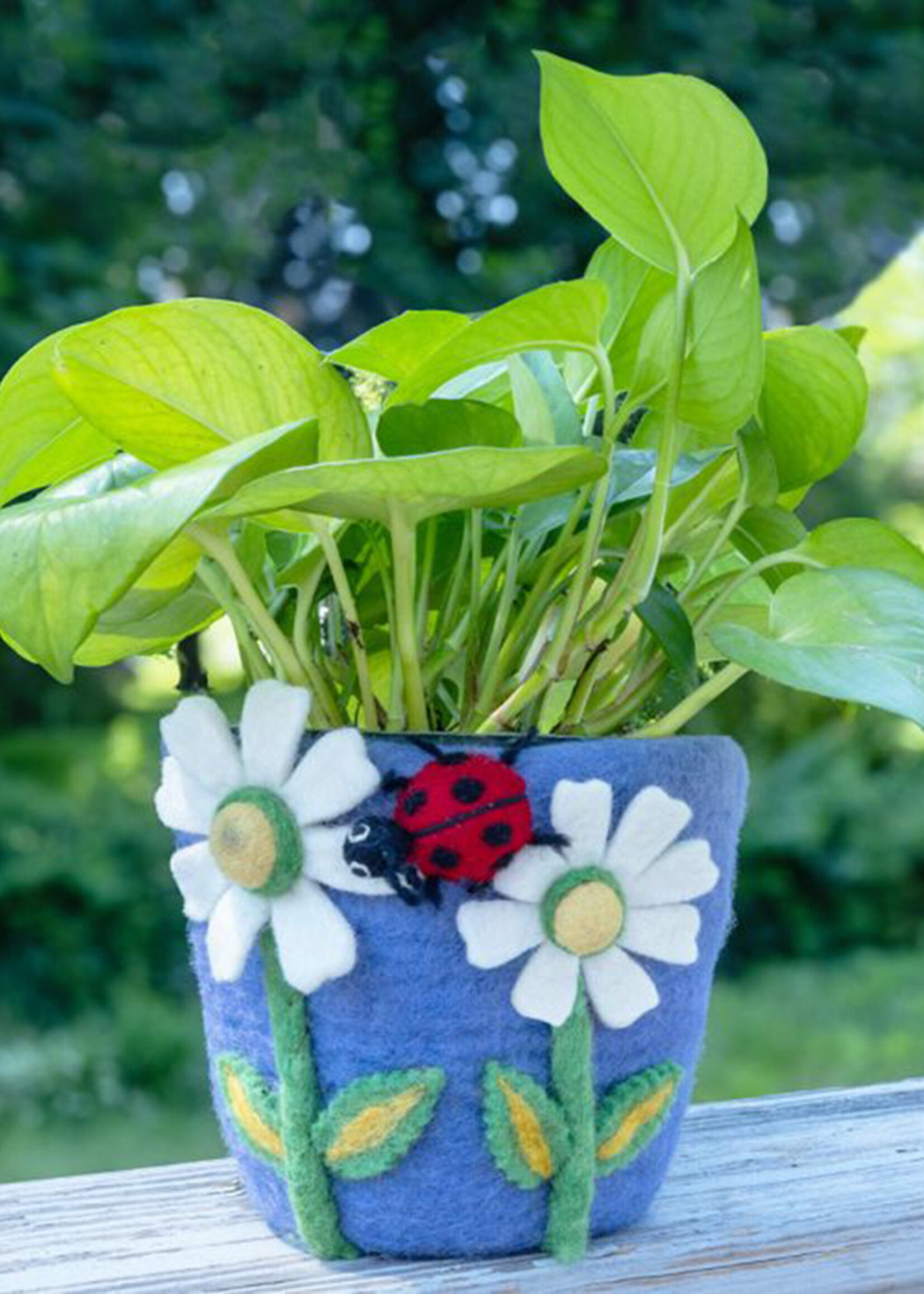 dZi Daisy Felt Pot