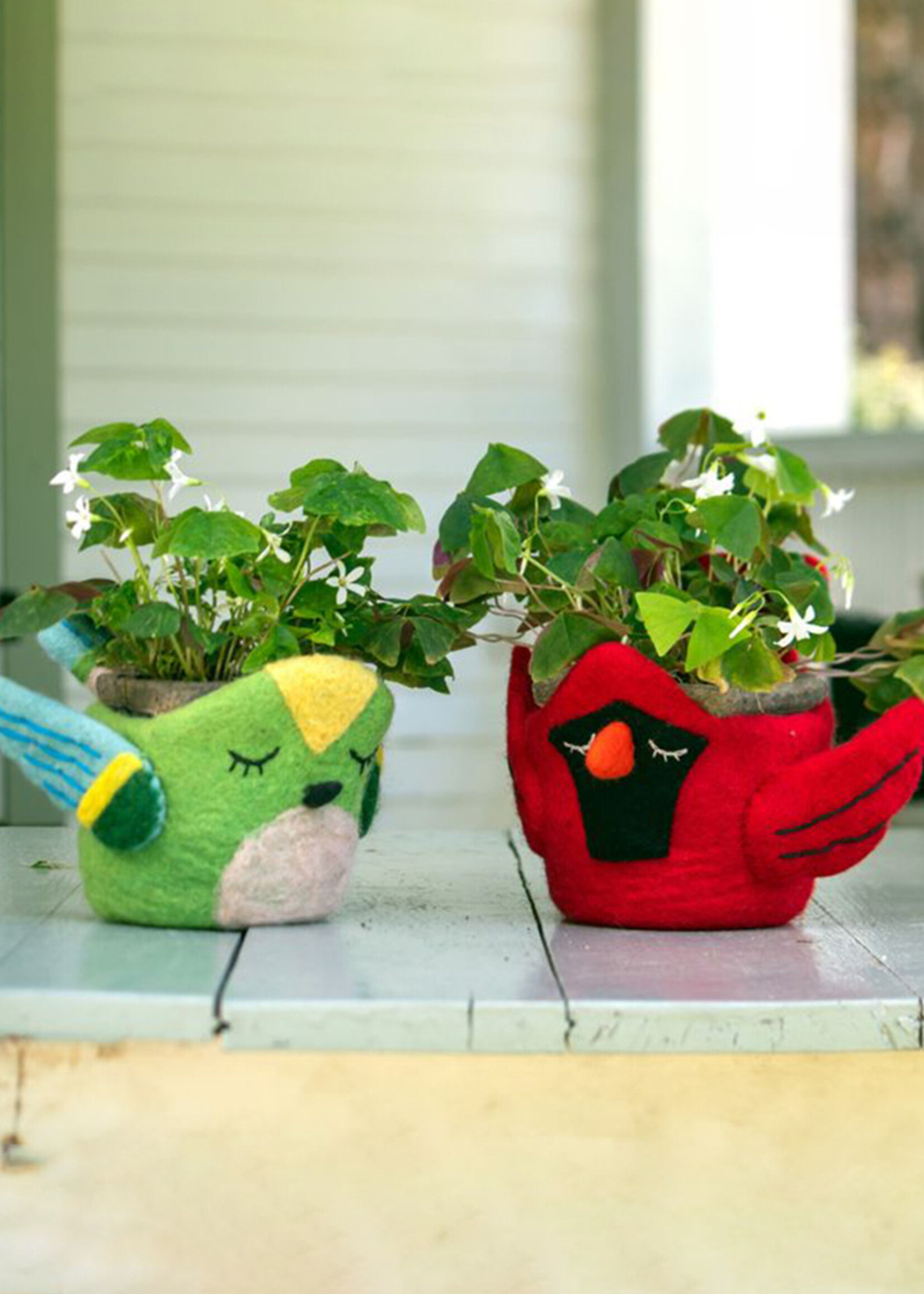 dZi Hummingbird Felt Pot