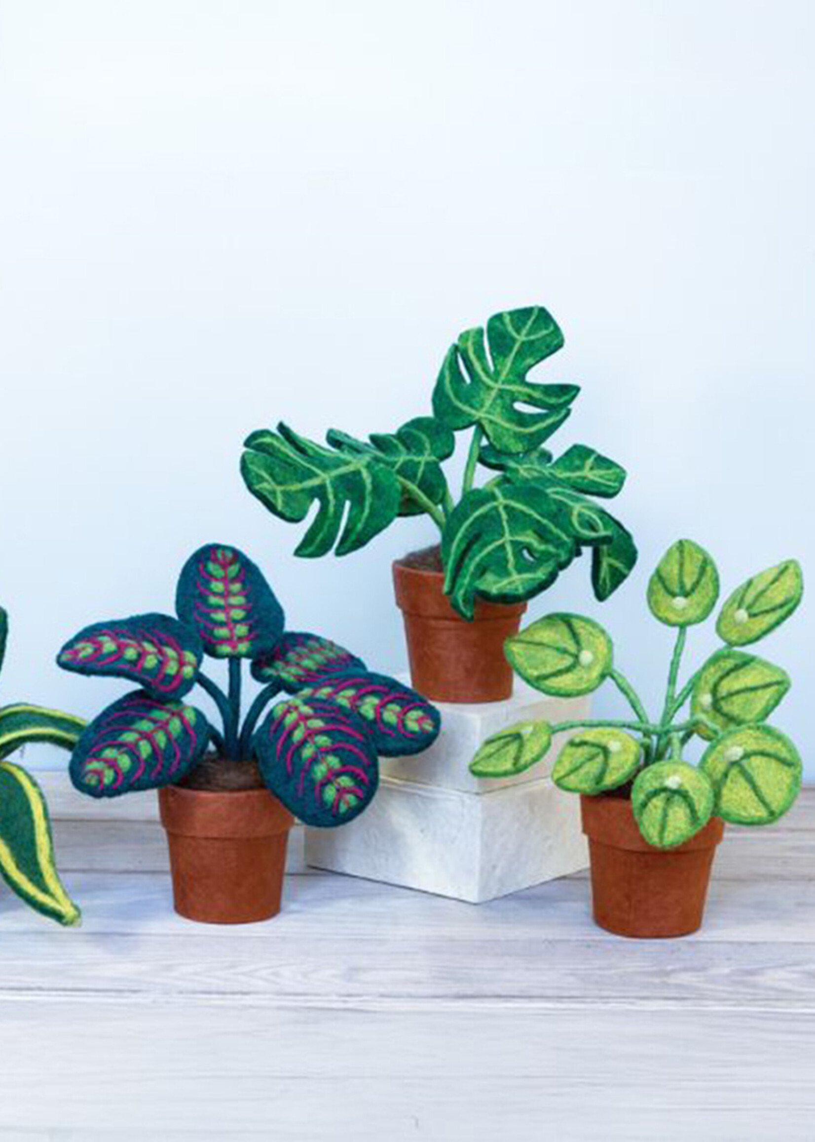 dZi Potted Felt Money Plant
