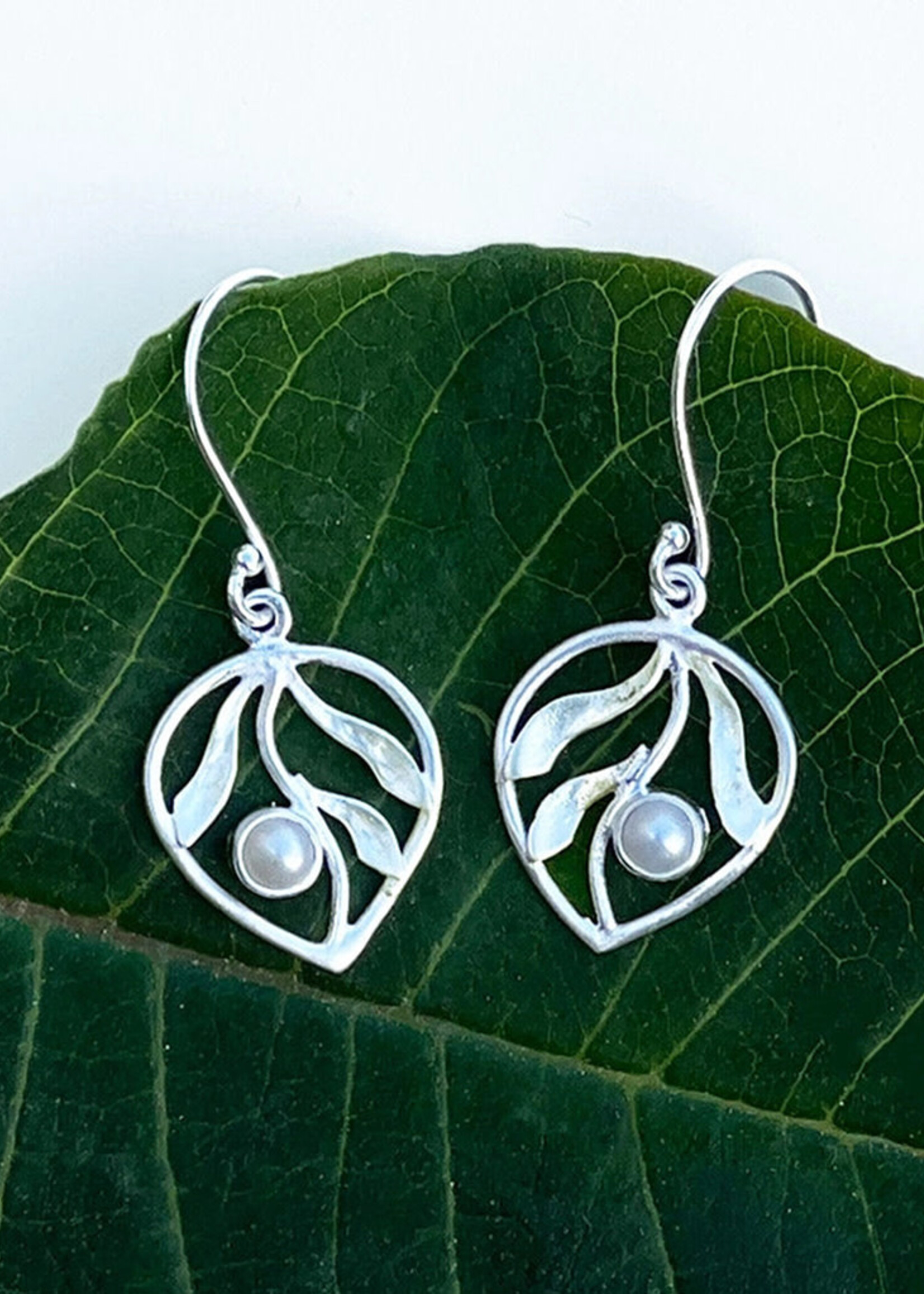 Women's Peace Collection Whispering Leaf Earrings