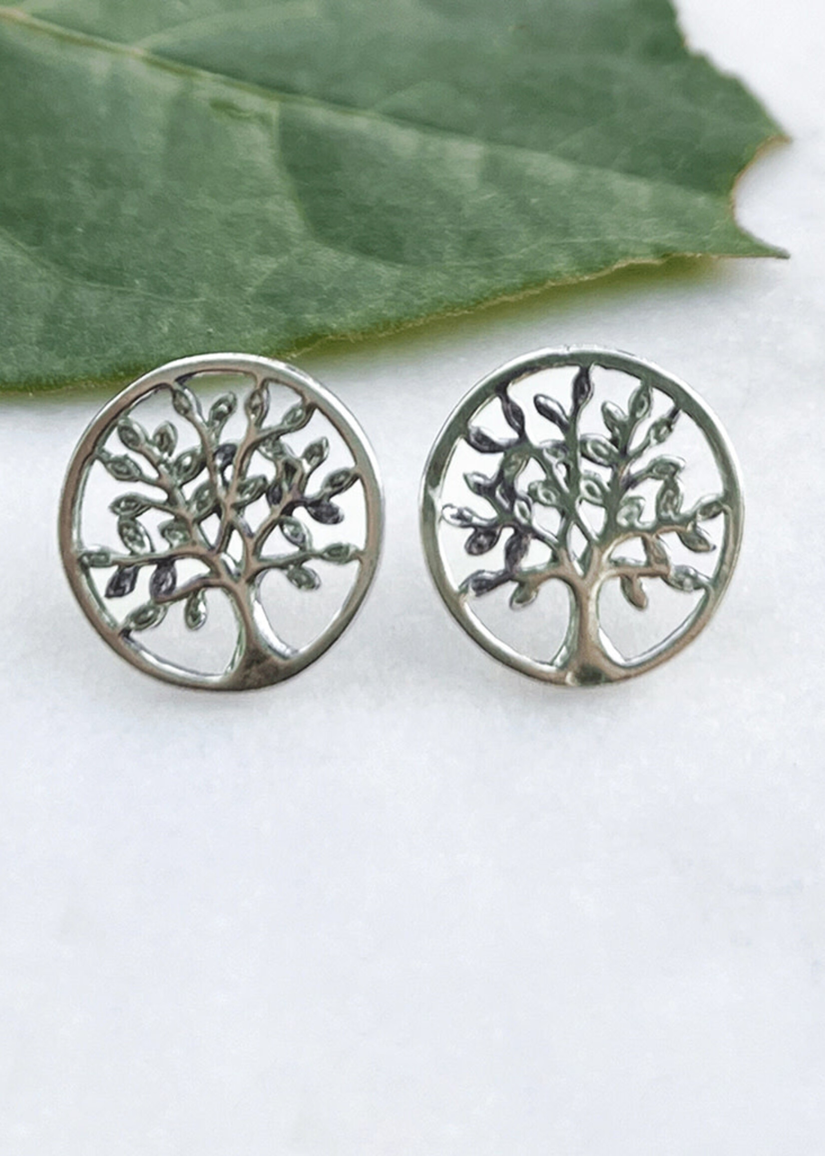 Women's Peace Collection Tree of Life Post Earrings