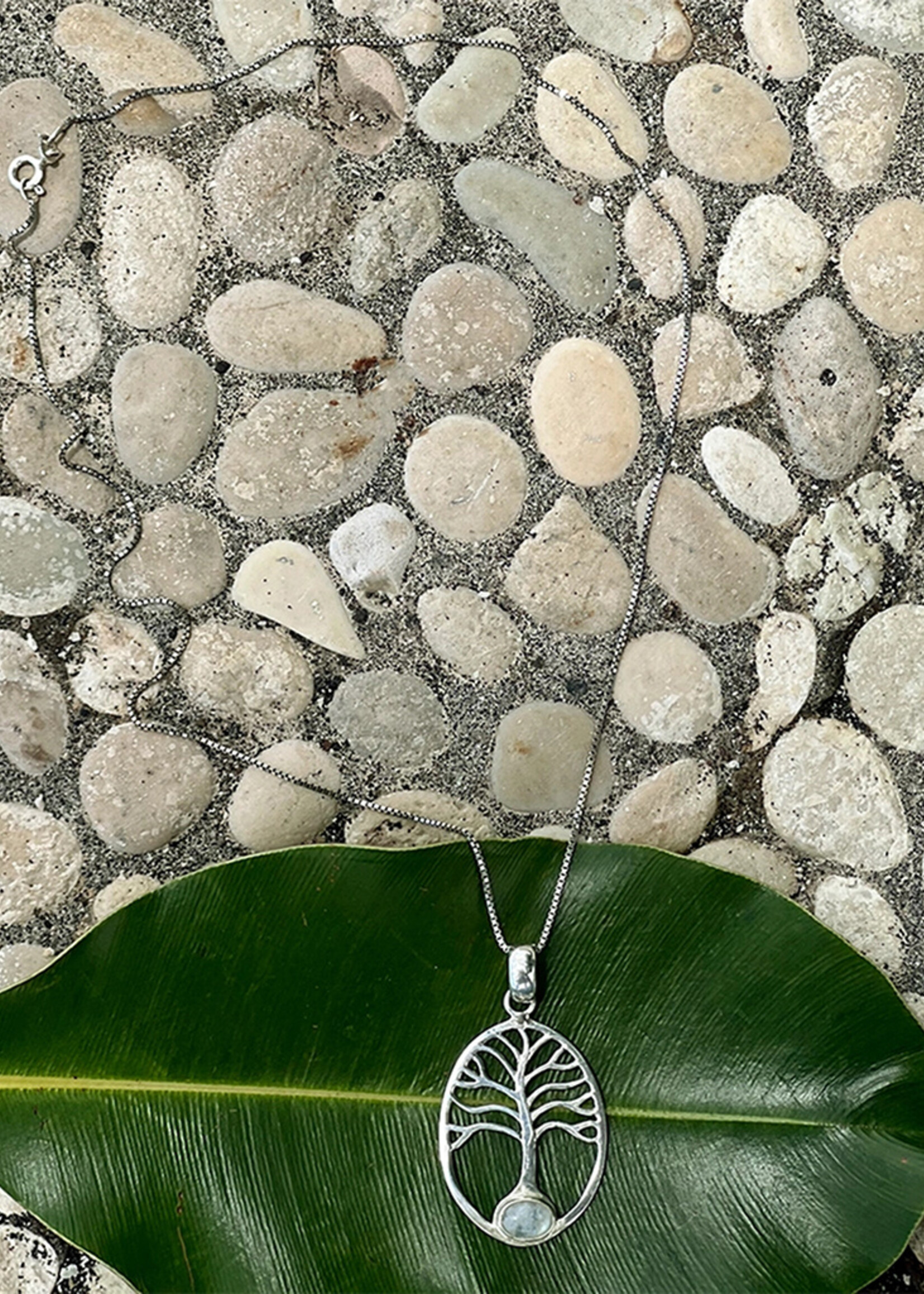 Women's Peace Collection Rainbow Moonstone Tree of Life Necklace