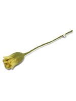 Gry and Sif Tulip Felt Flower