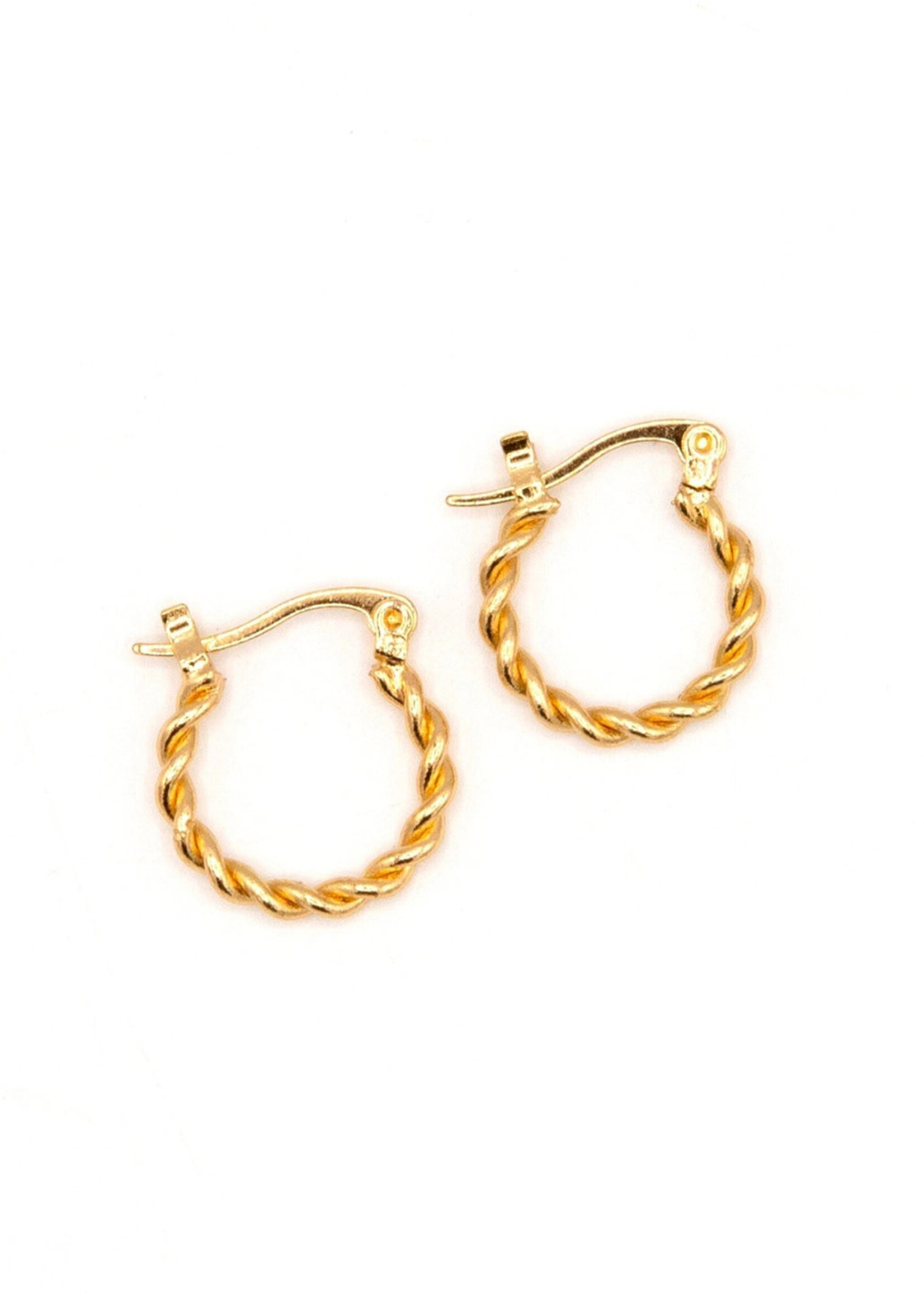 Fair Anita Small Twisted Hoop Earrings
