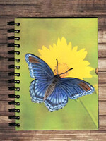 Mr. Ellie Pooh Blue Butterfly Notebook