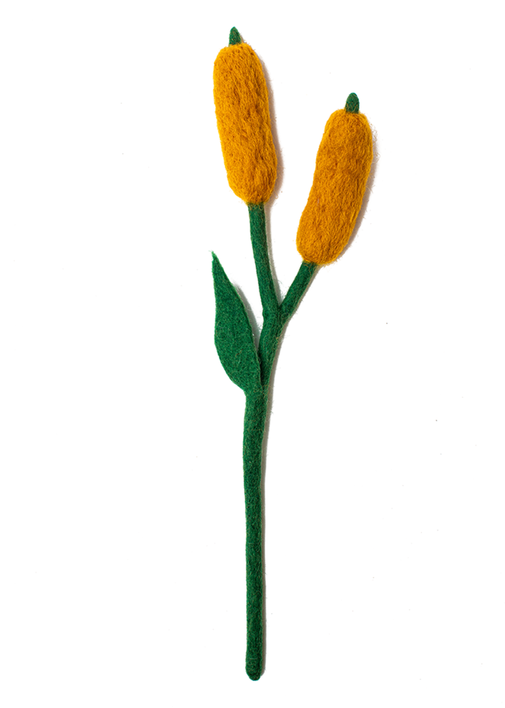 Global Goods Partners FINAL SALE - Felt Cattails