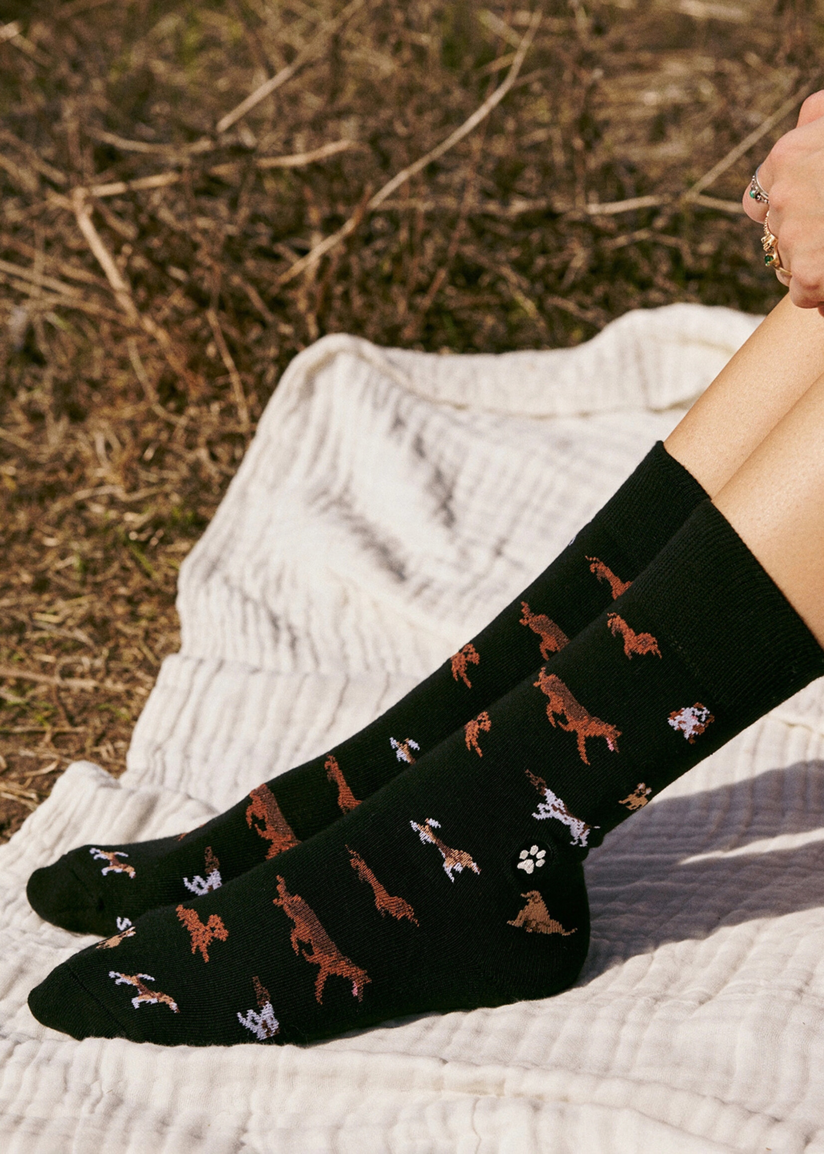 Conscious Step Men's Dog Socks - Paw Parade