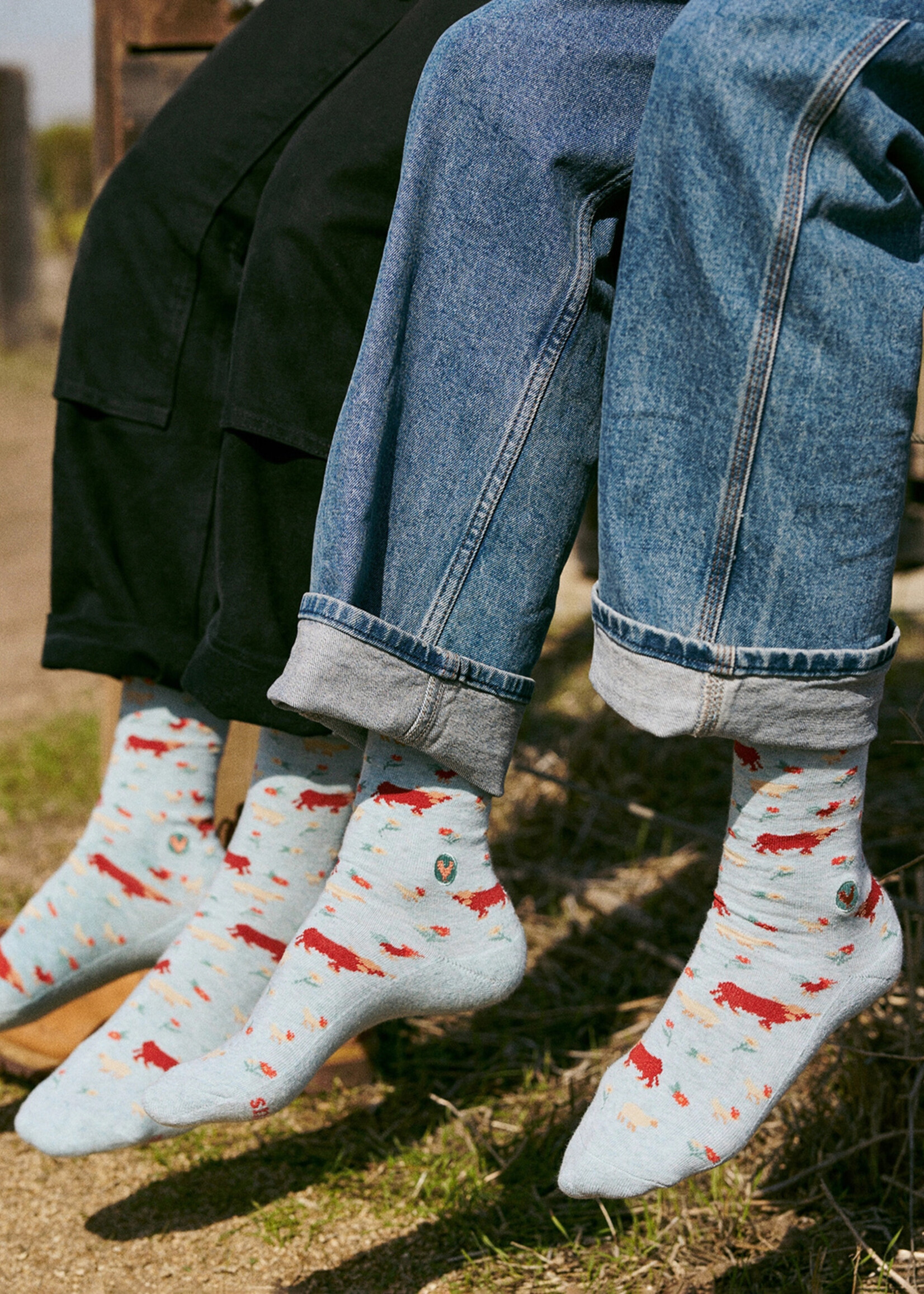 Conscious Step Men's Farm Animal Socks
