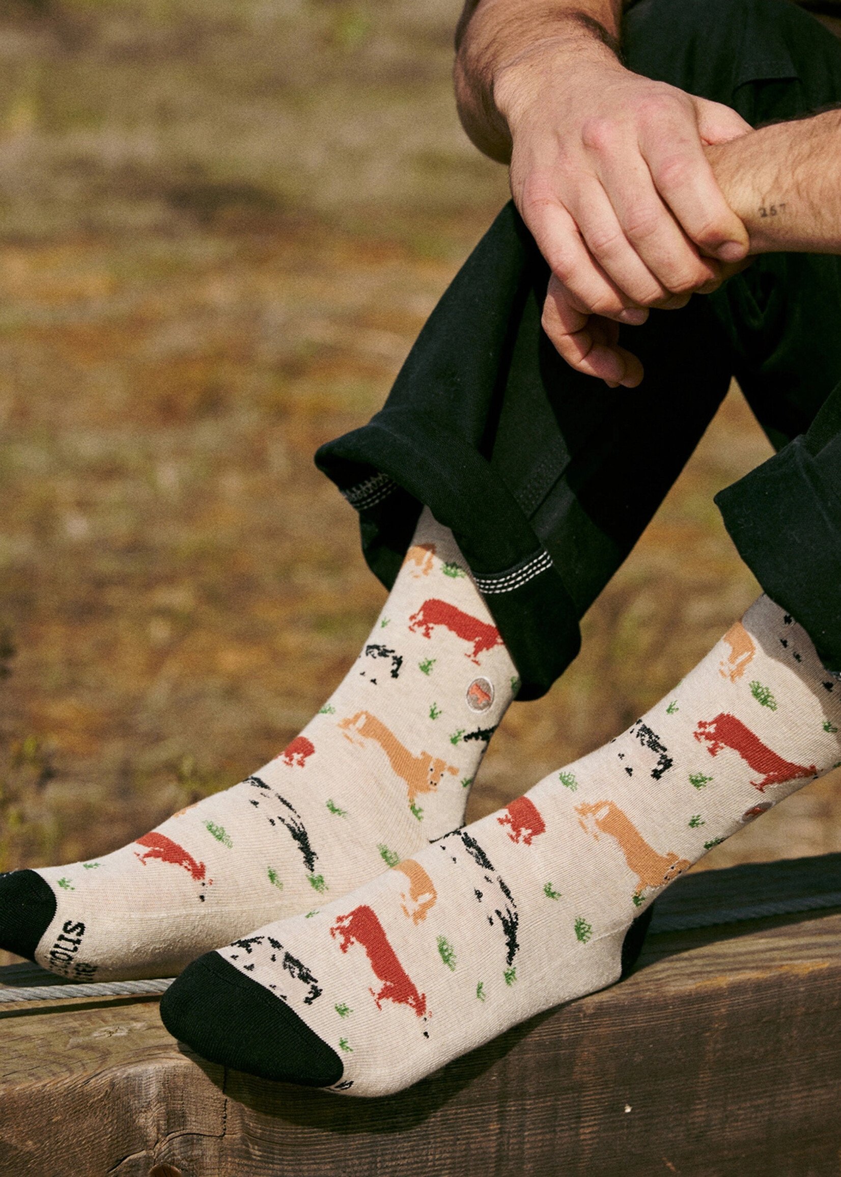 Conscious Step Men's Cow Socks