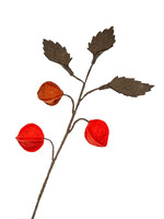 Felt Chinese Lantern Flower