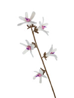 Felt White Jasmine Flower