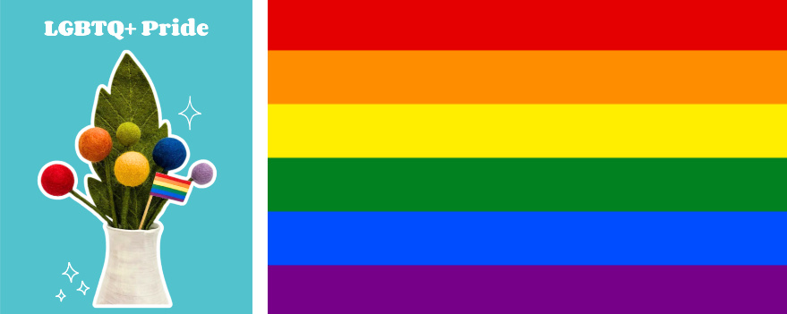 LGBTQ+ Pride Flag