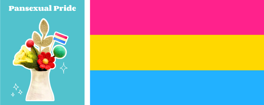 Pansexual Pride Flag