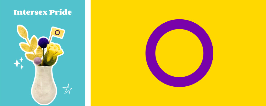 Intersex Pride Flag