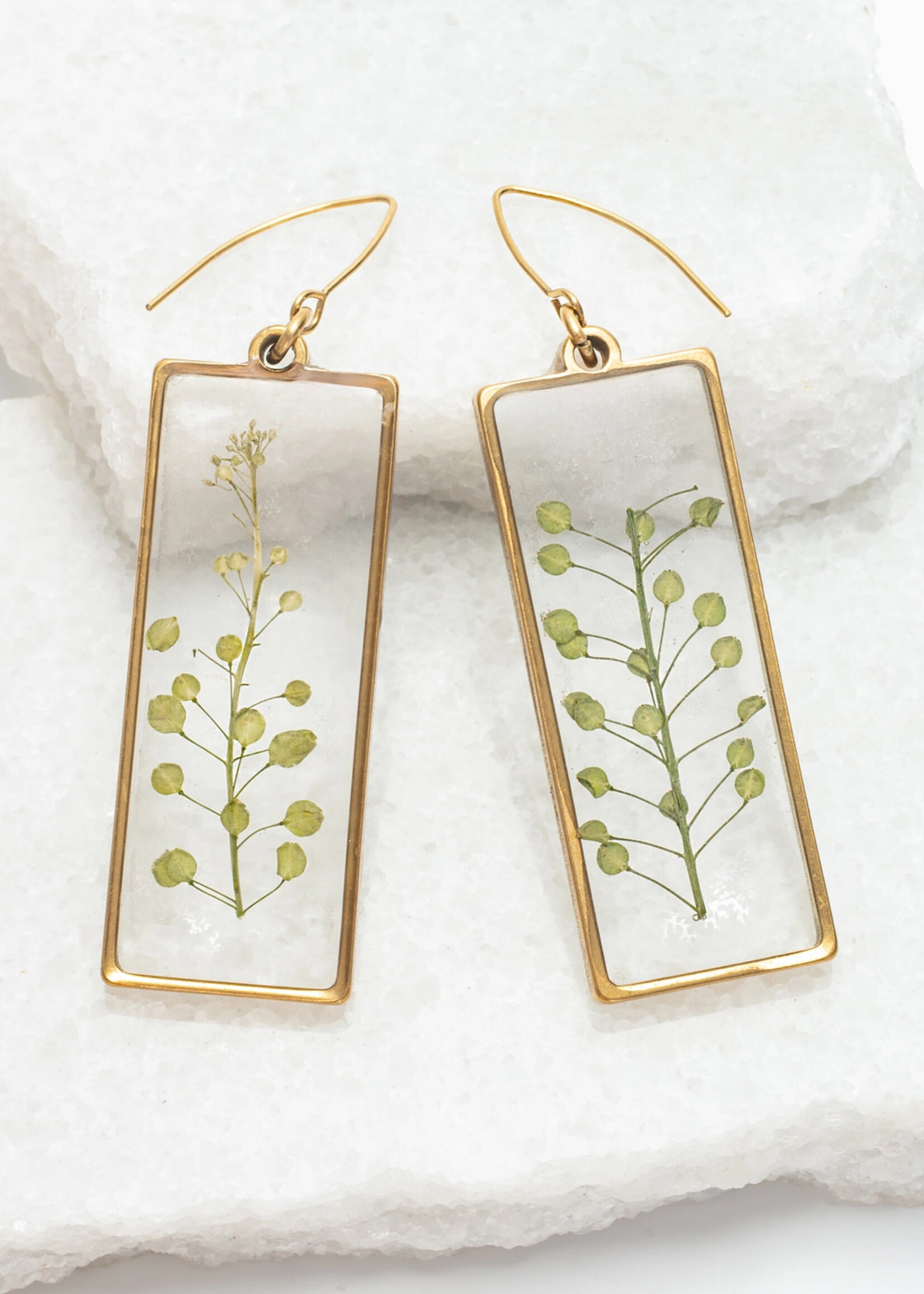 Starfish Project Wildflower Window Earrings - 14K gold plated