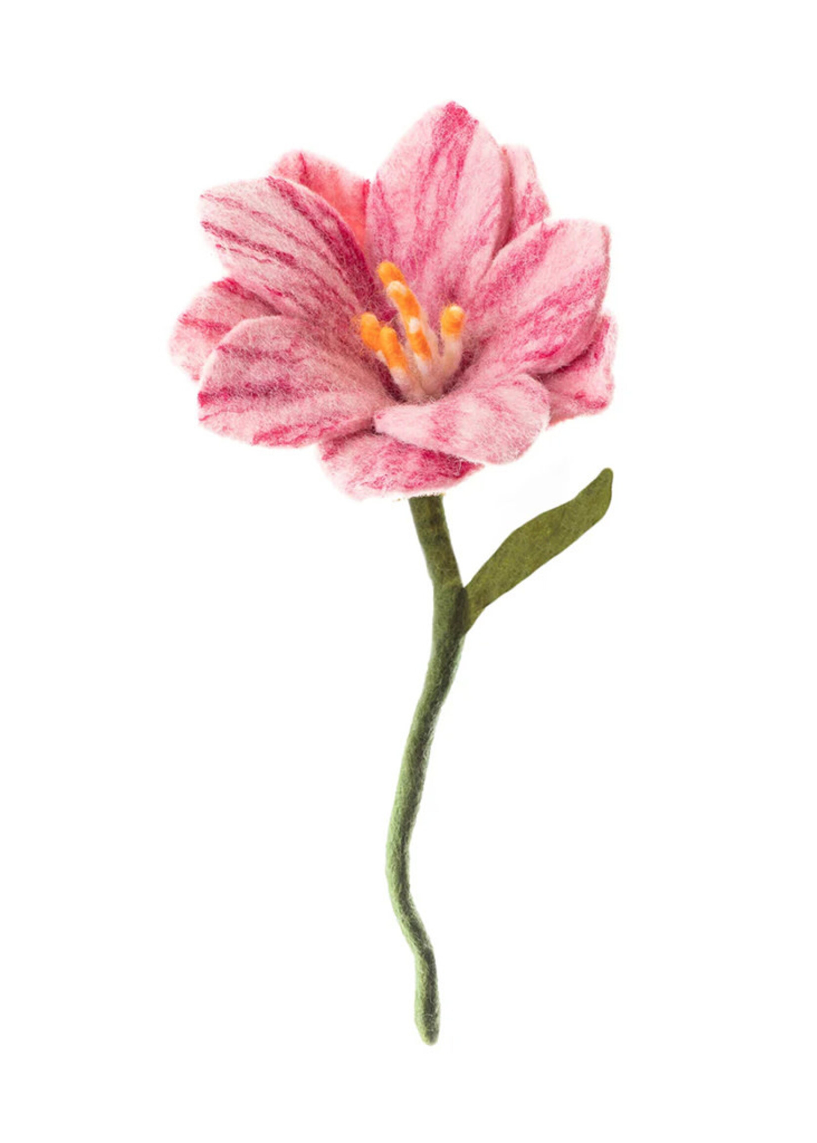 Global Goods Partners Felt Wildflower