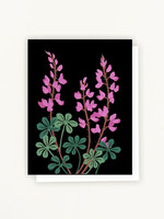 Lesley Goren Studio Stinging Lupine Card