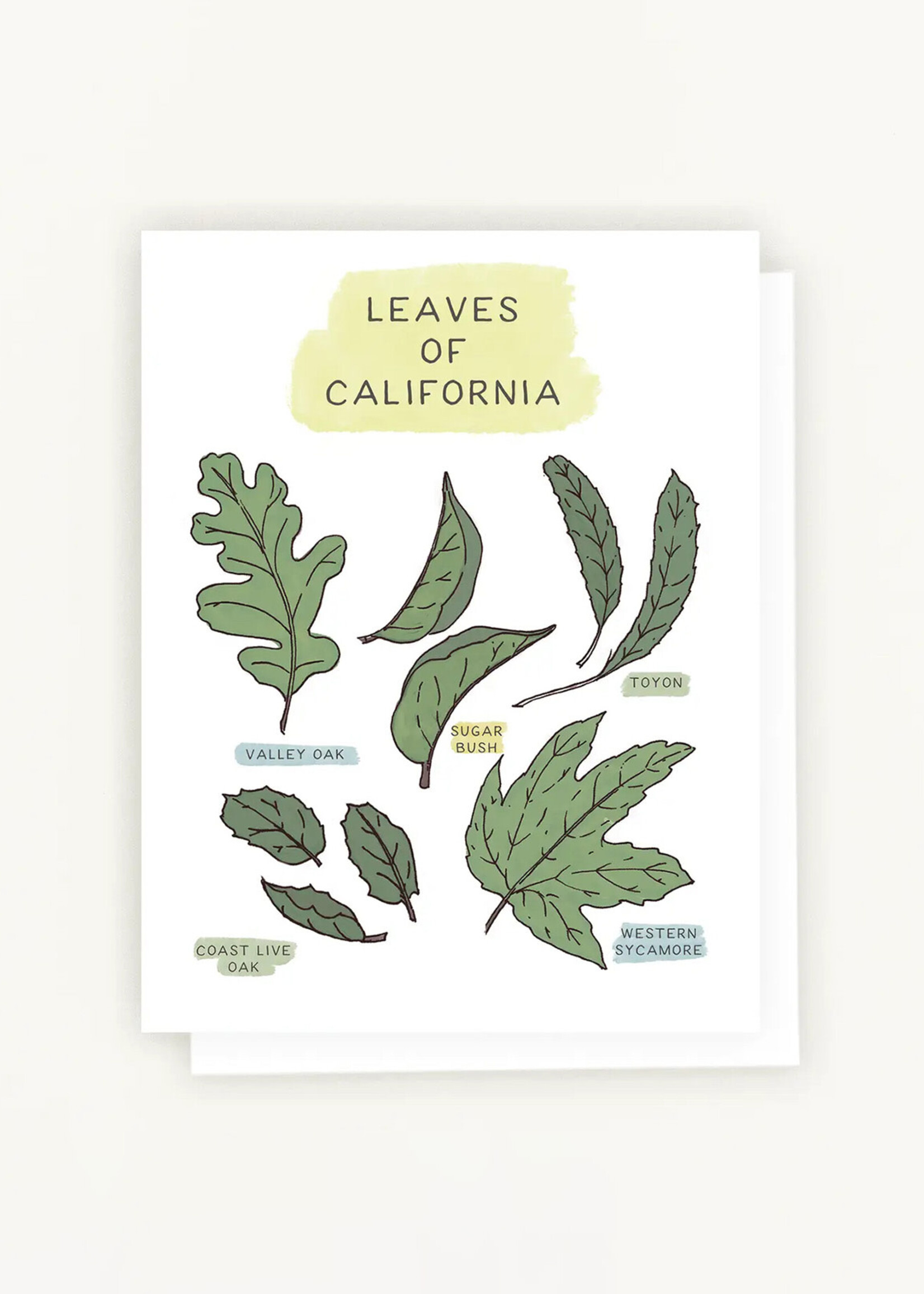 Lesley Goren Studio Leaves of California Card