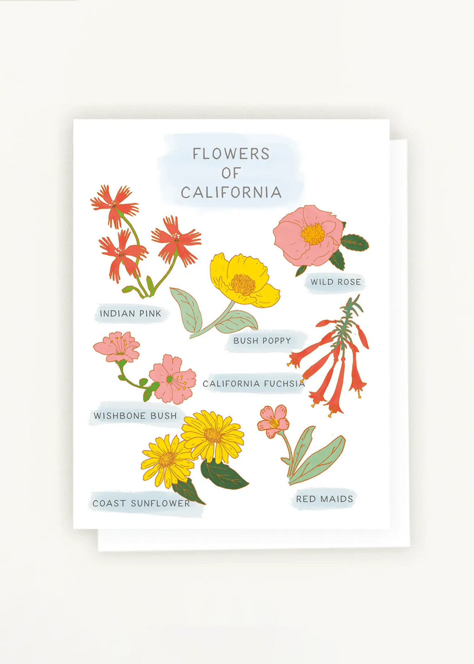 Lesley Goren Studio Flowers of California Card