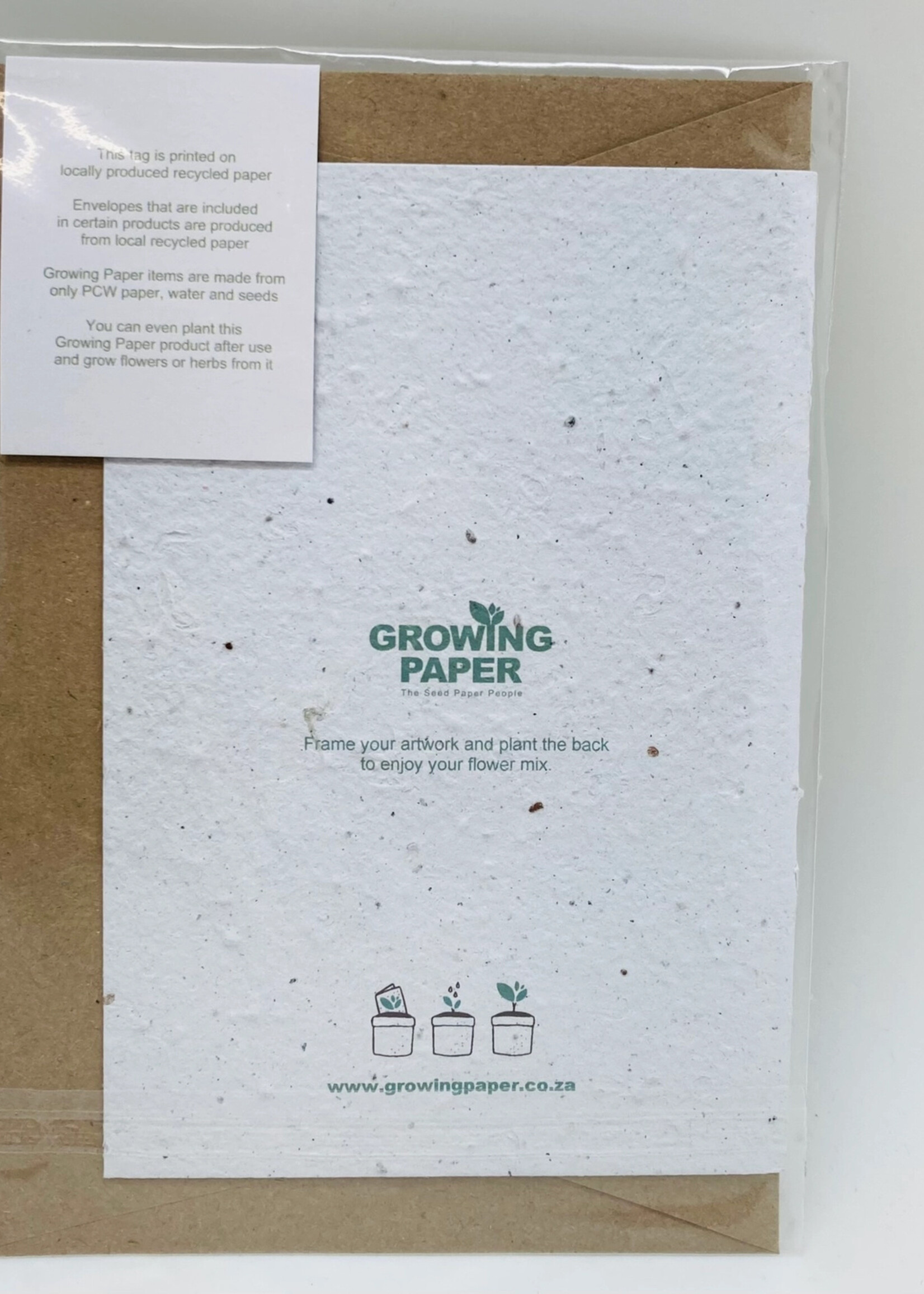 Growing Paper Birthday Cactus Plantable Card