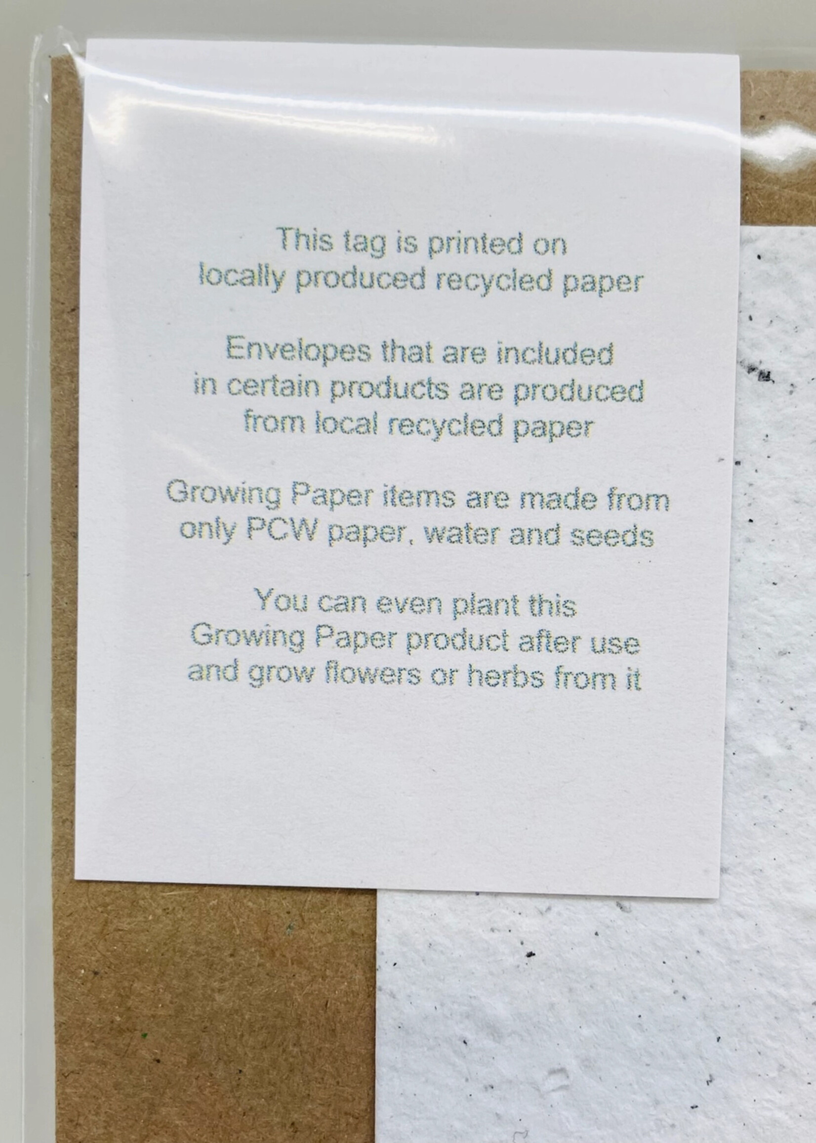 Growing Paper Birthday Cactus Plantable Card