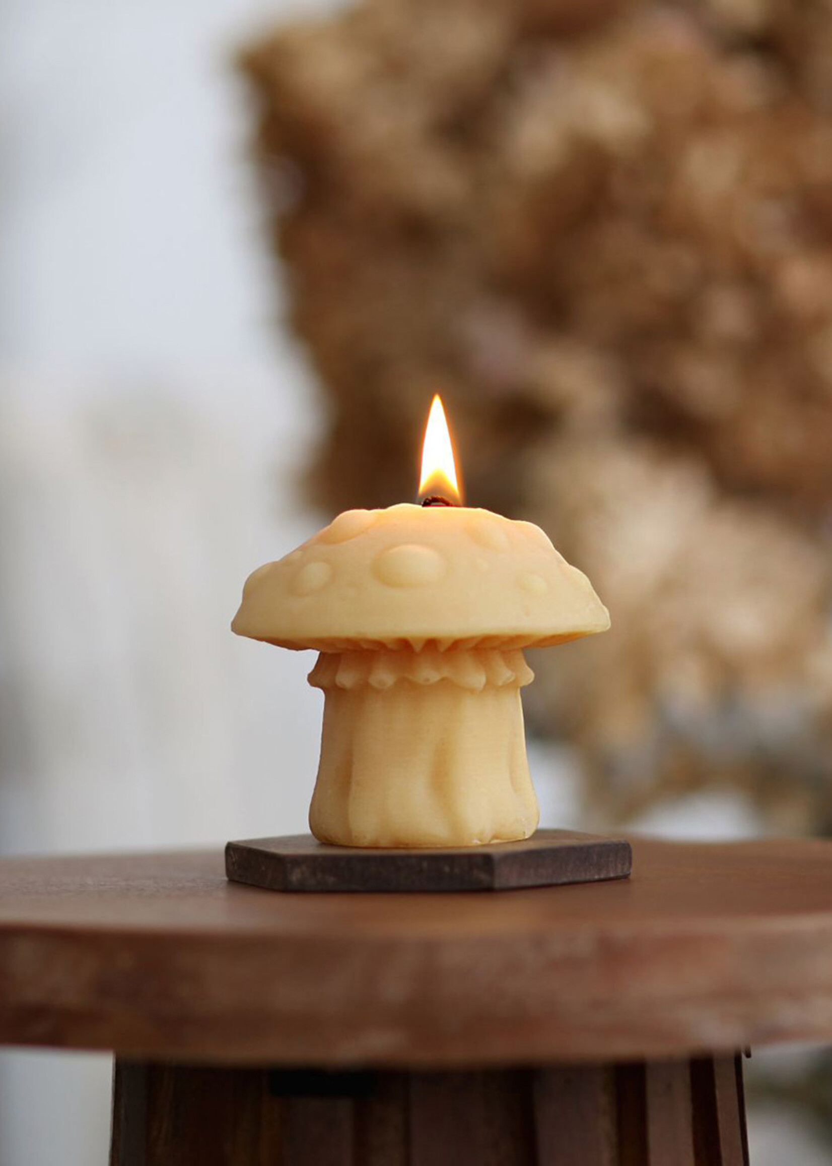 Big Dipper Waxs Works FINAL SALE - Amanita Mushroom Beeswax Candle