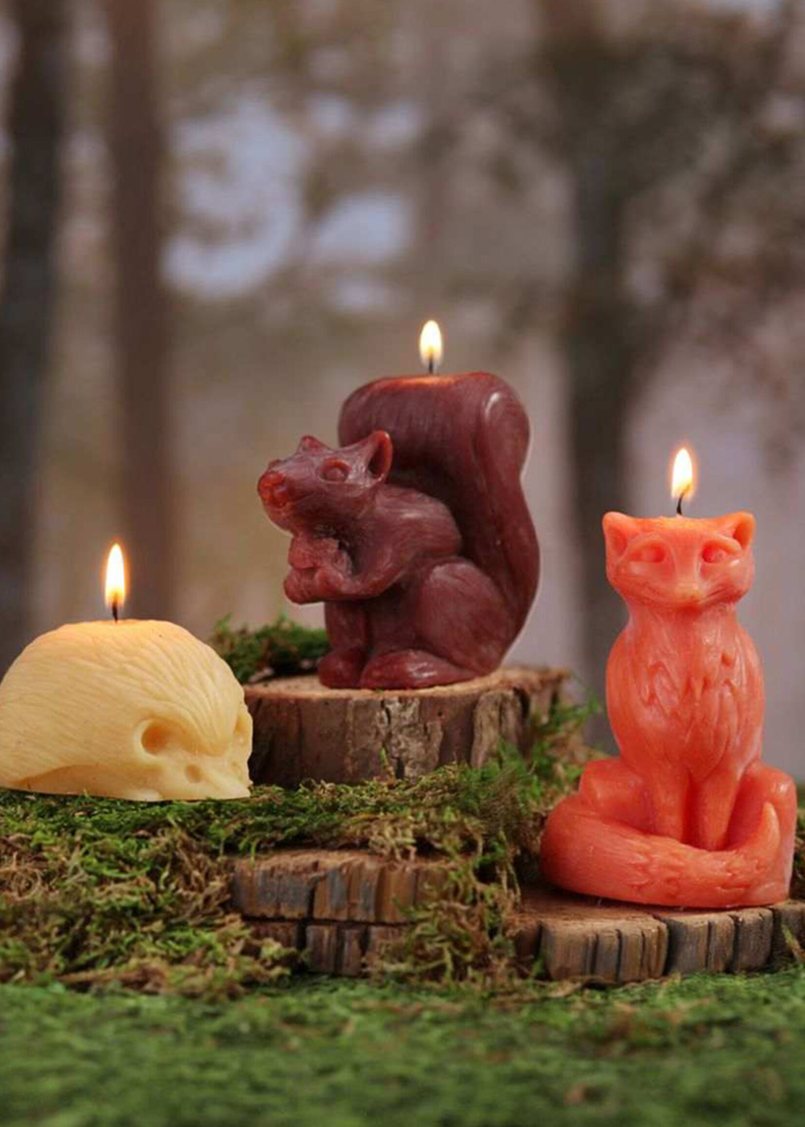 Big Dipper Waxs Works Squirrel Beeswax Candle