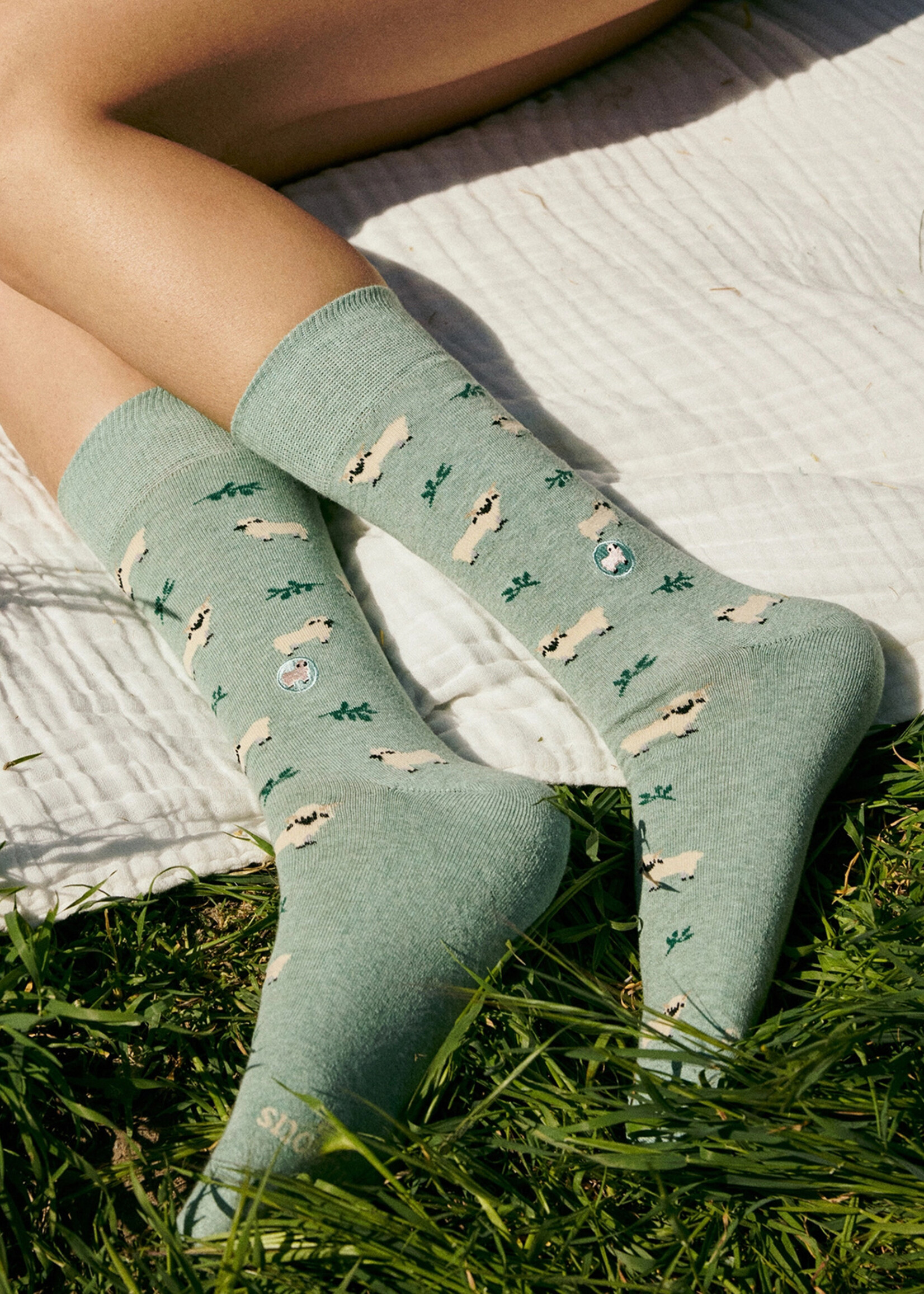 Conscious Step Men's Sheep Socks