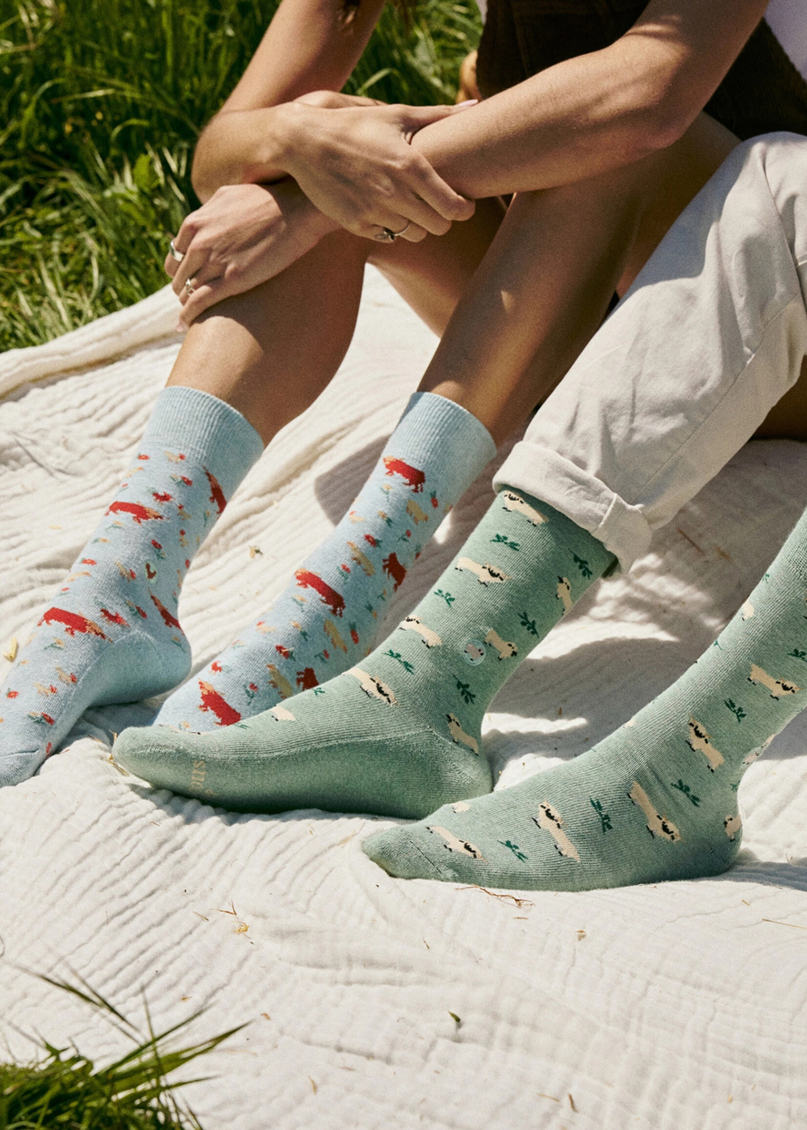 Conscious Step Men's Sheep Socks