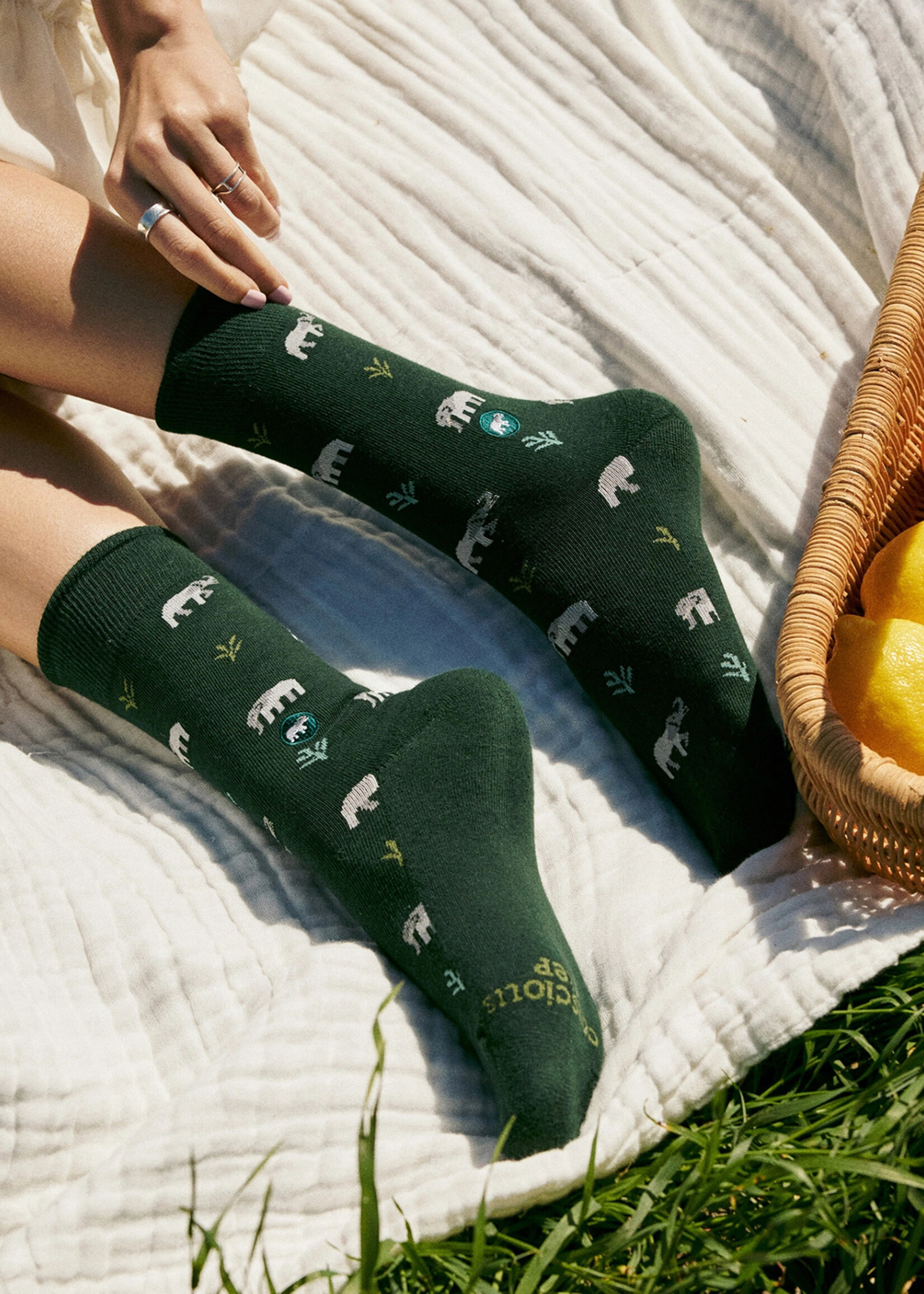 Conscious Step Men's Green Elephant Socks