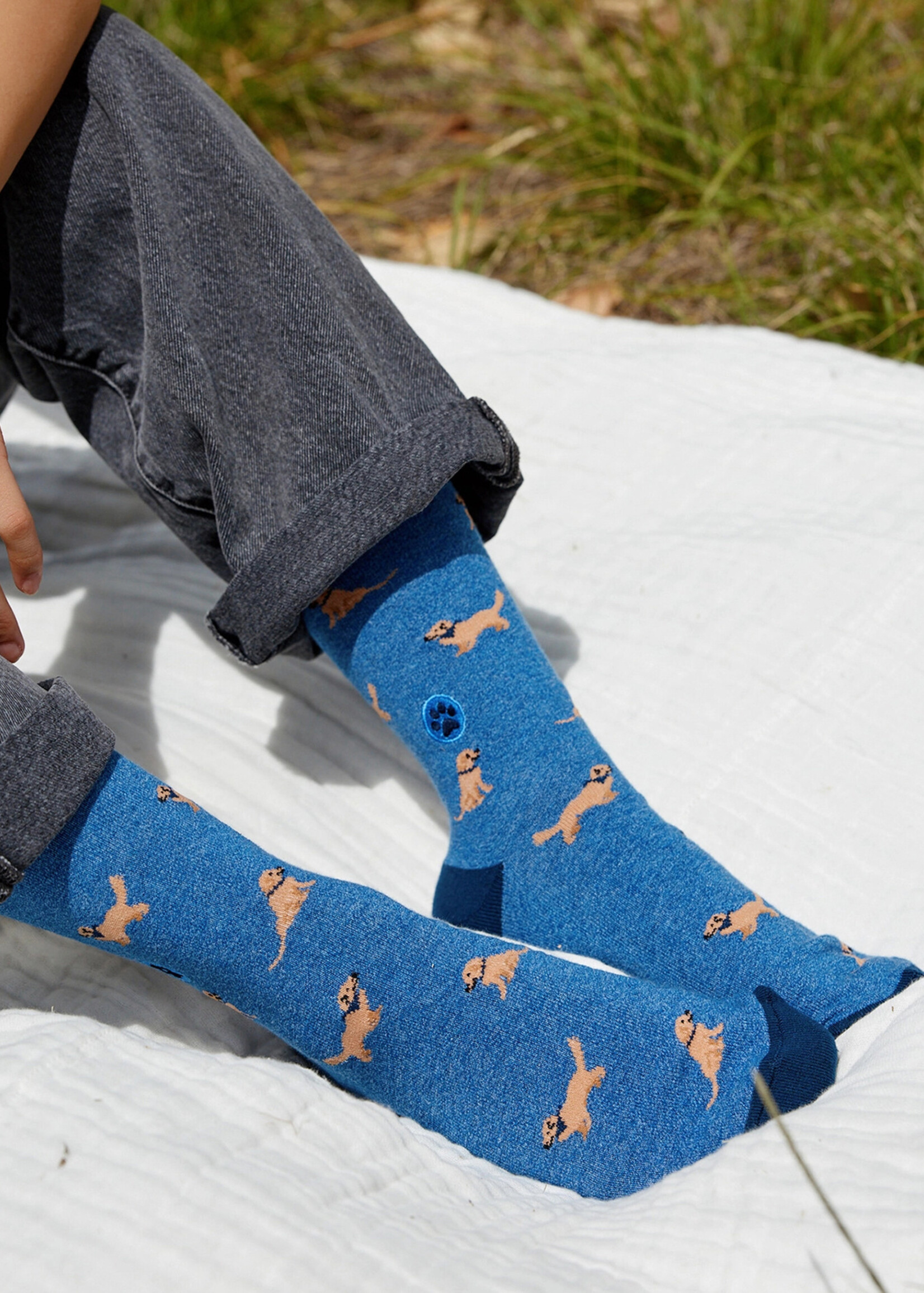 Conscious Step Men's Dog Socks - Golden Retriever