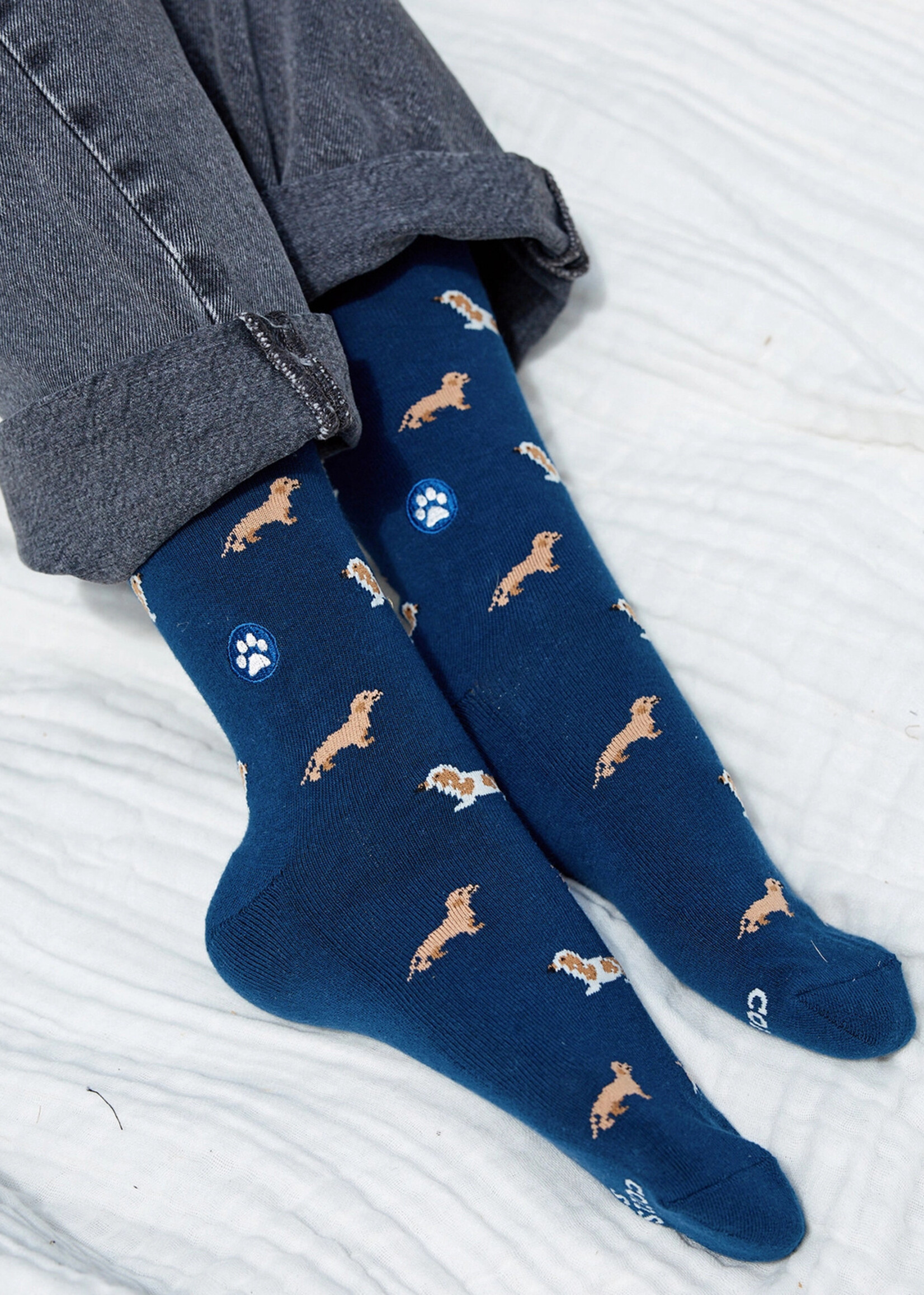 Conscious Step Women's Dog Socks - Low Rider Dogs