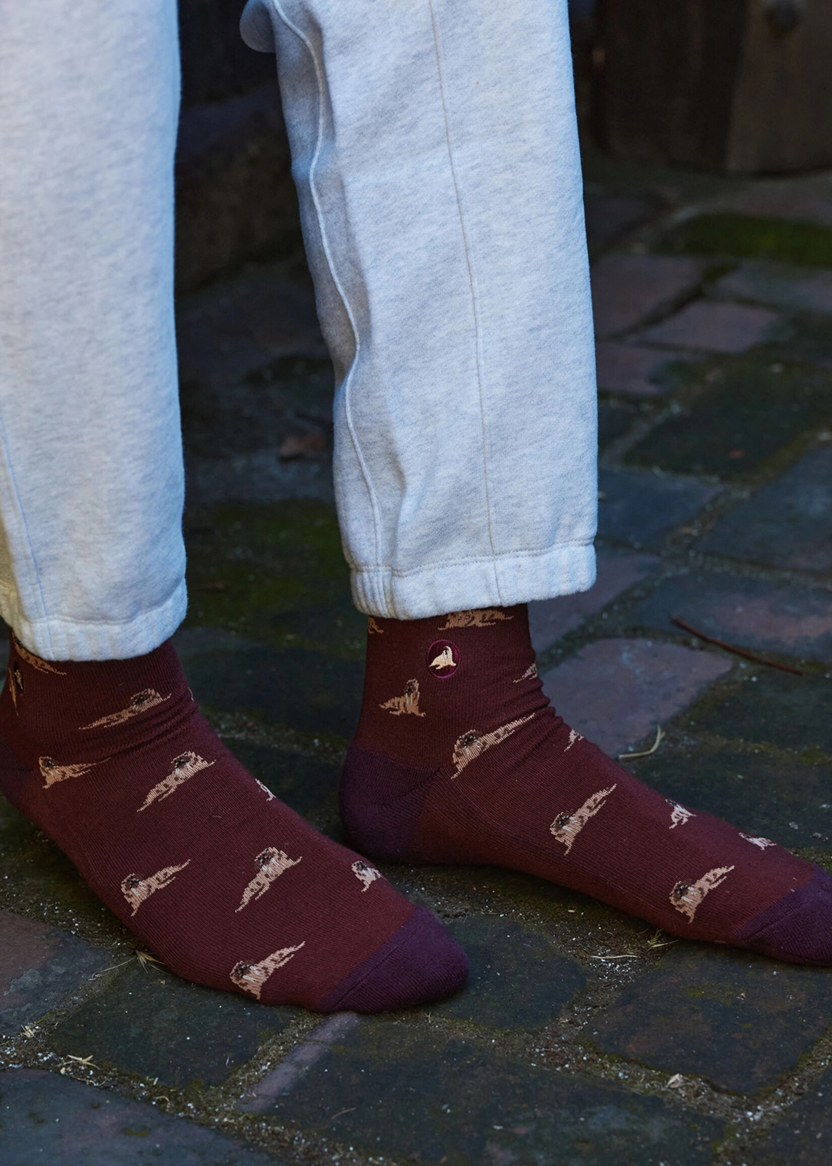 Conscious Step Women's Walrus Socks