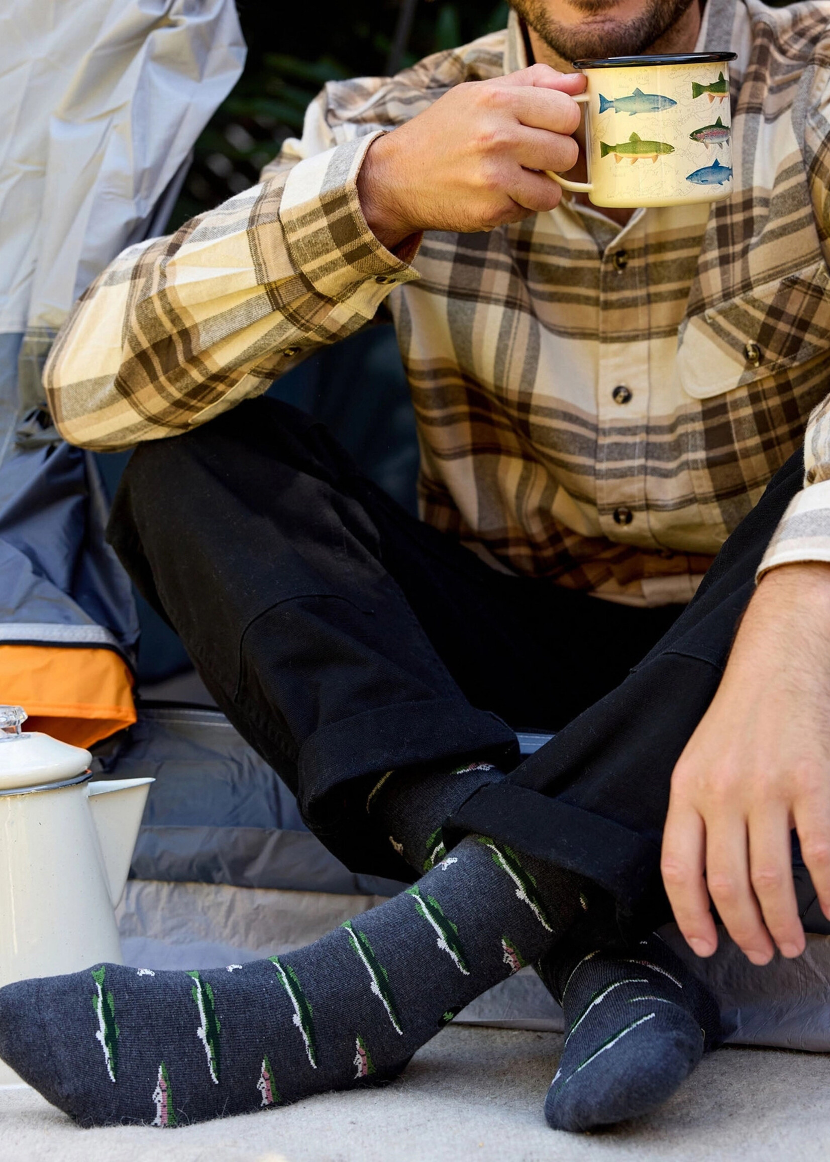 Conscious Step Men's Fish Socks - Protect National Parks