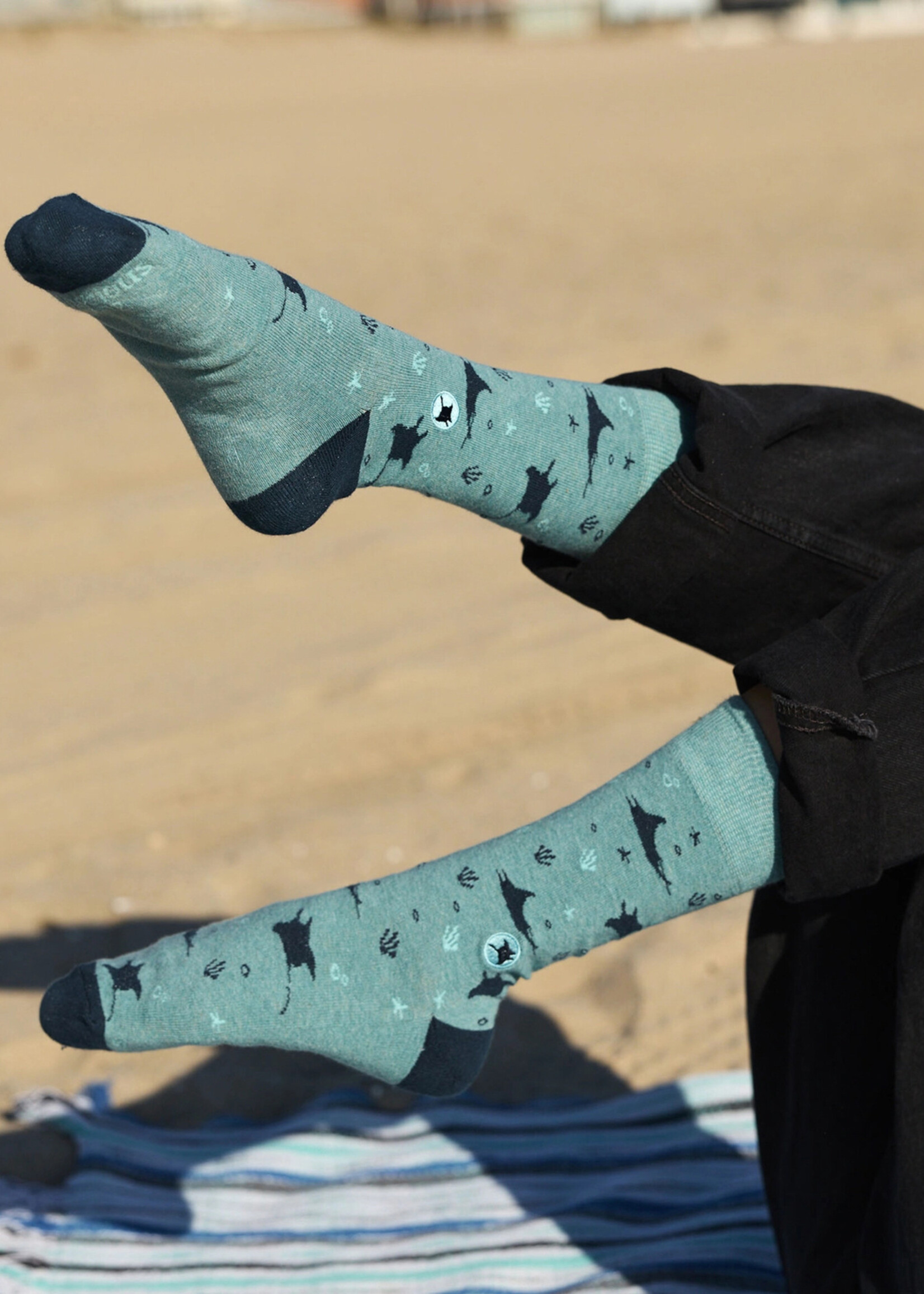 Conscious Step Women's Manta Ray Socks