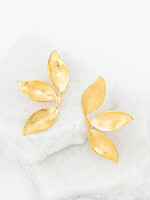 Starfish Project Golden Canopy Earrings