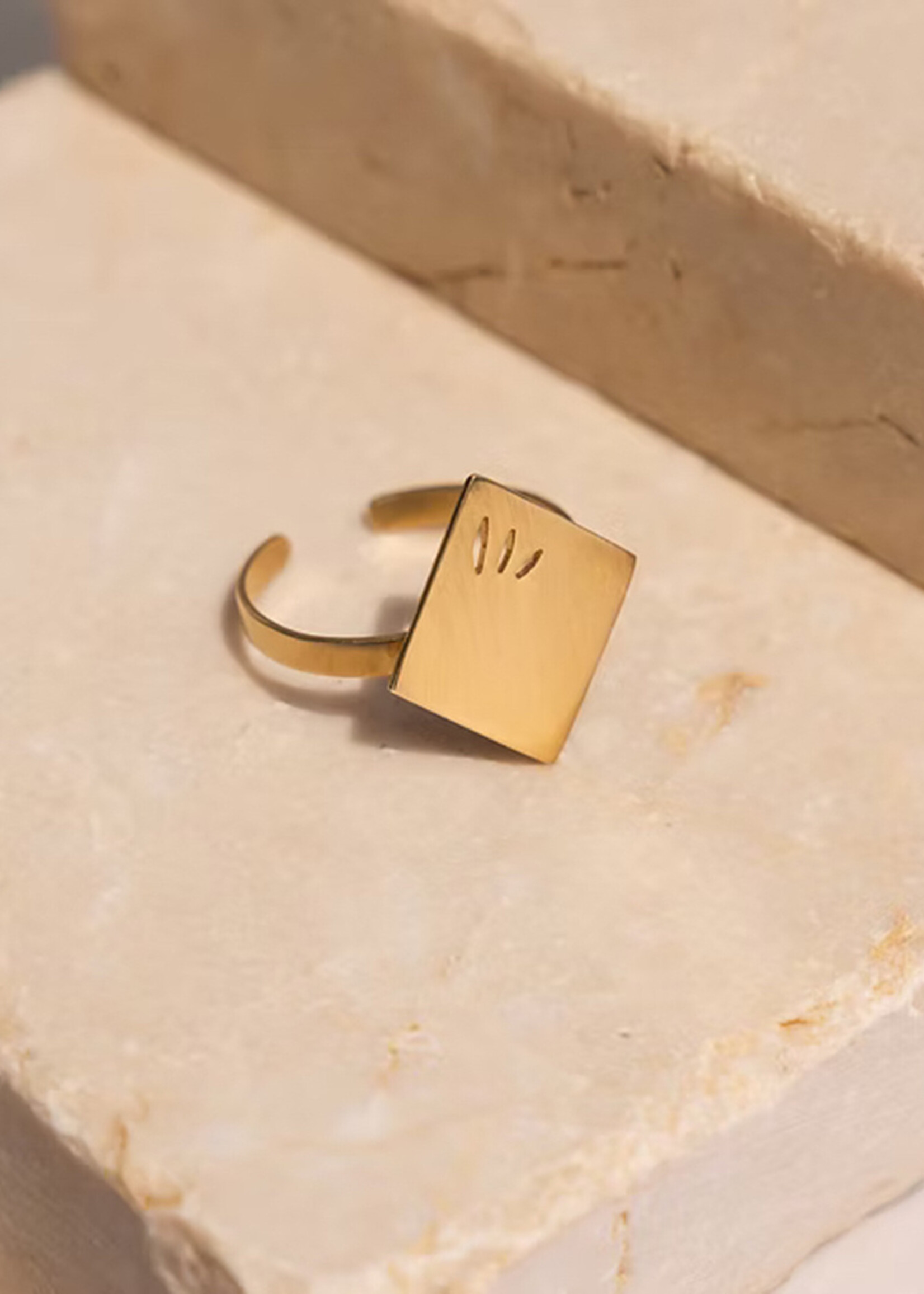 Himalayan Freedom Co Gleaming Edge Ring