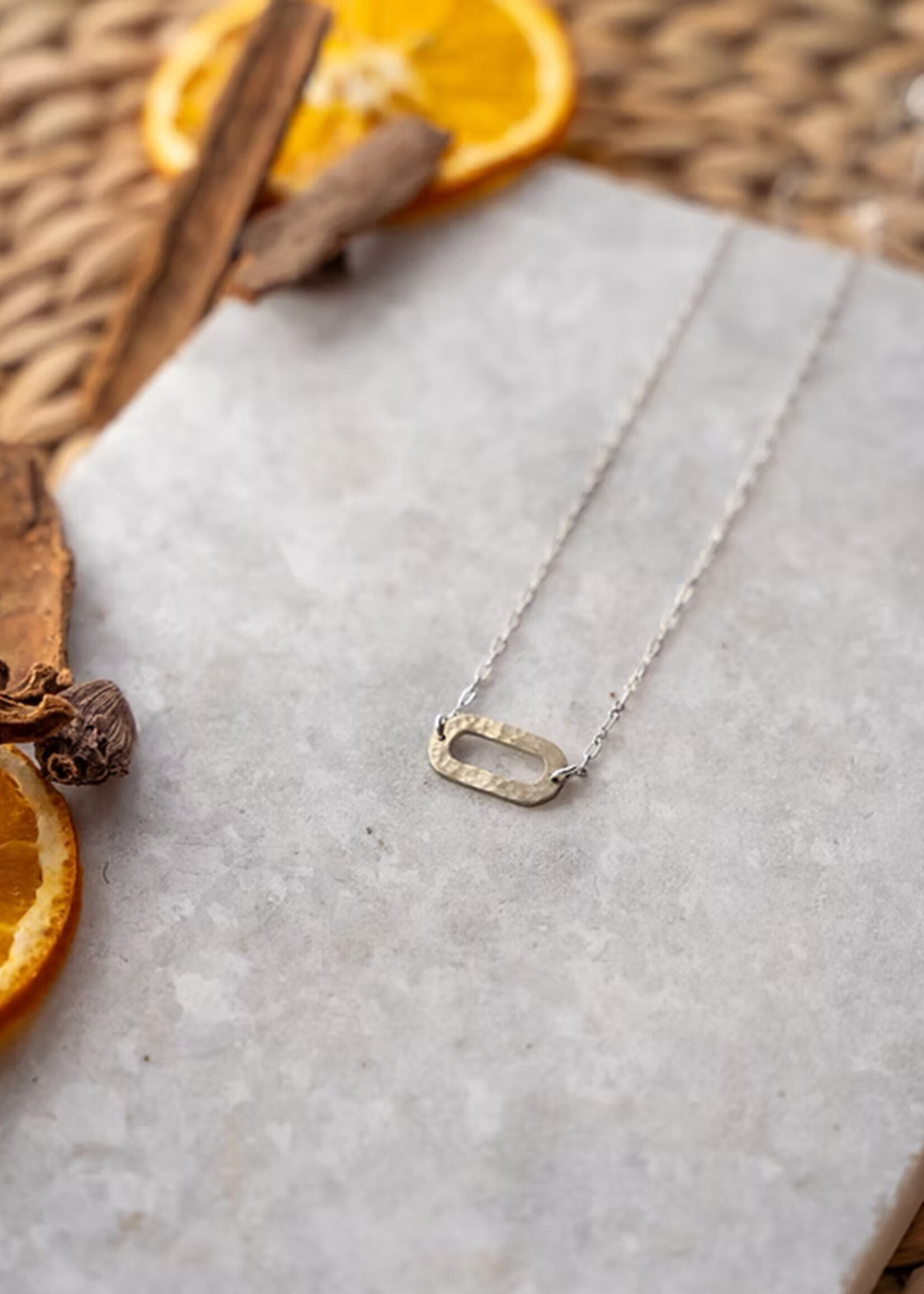 Himalayan Freedom Co Hammered Circle Necklace - Silver Tone