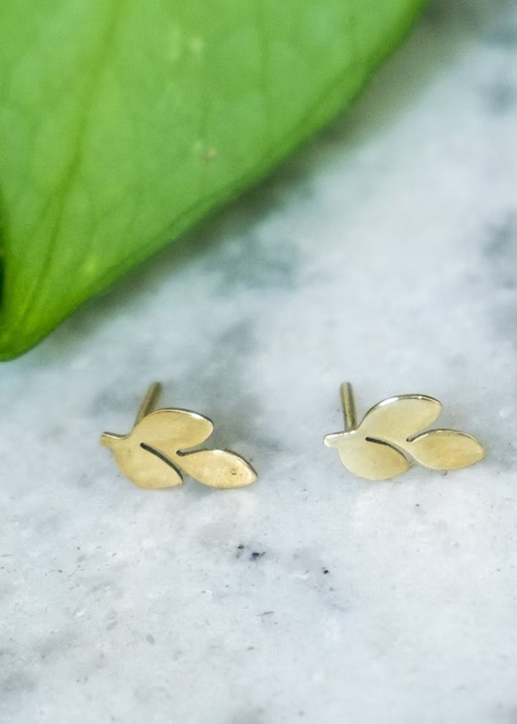 Himalayan Freedom Co Olive Leaf Stud Earrings