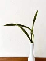 Gry and Sif Felt Grass - Straw