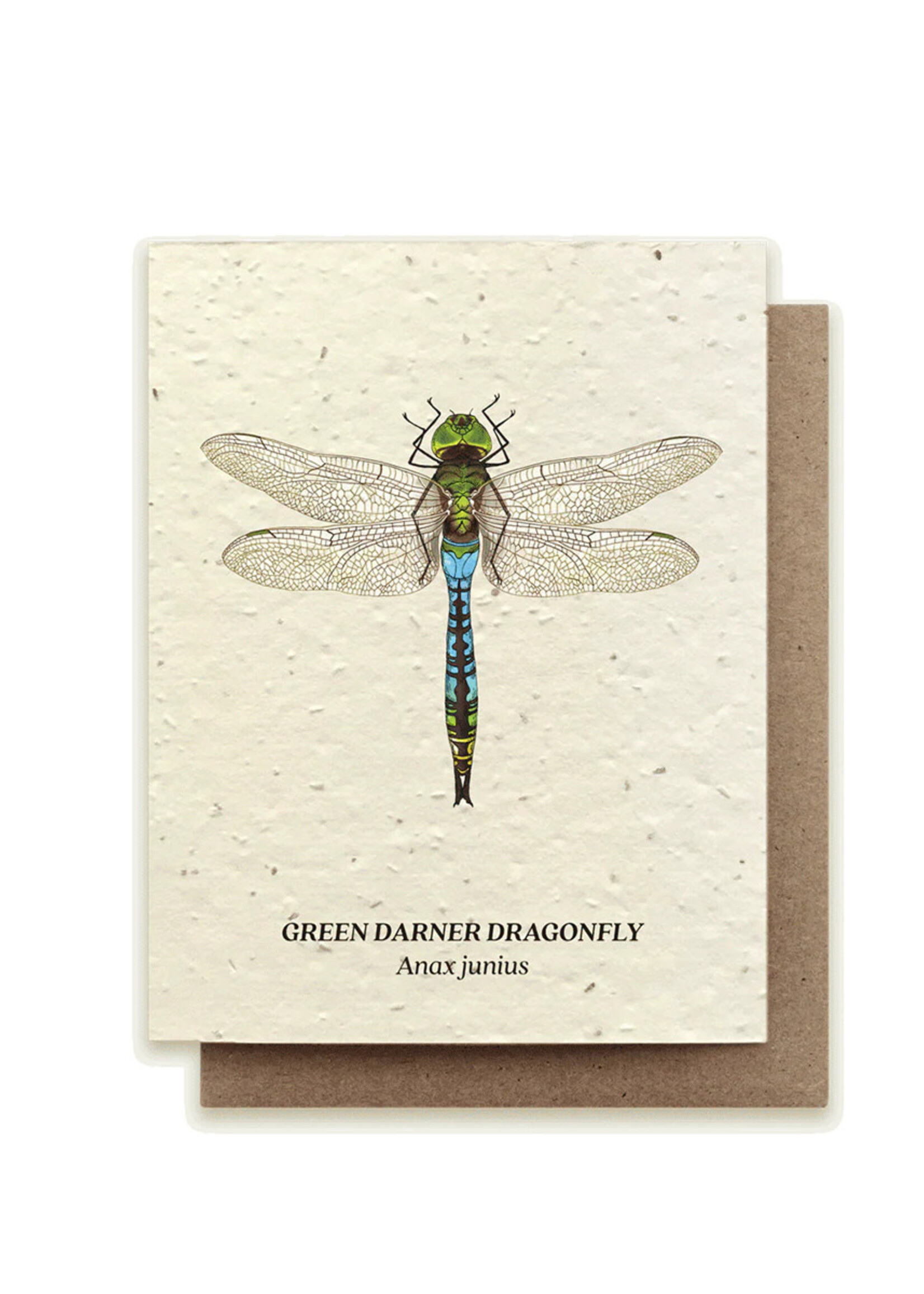 Small Victories Green Daner Dragonfly Plantable Card