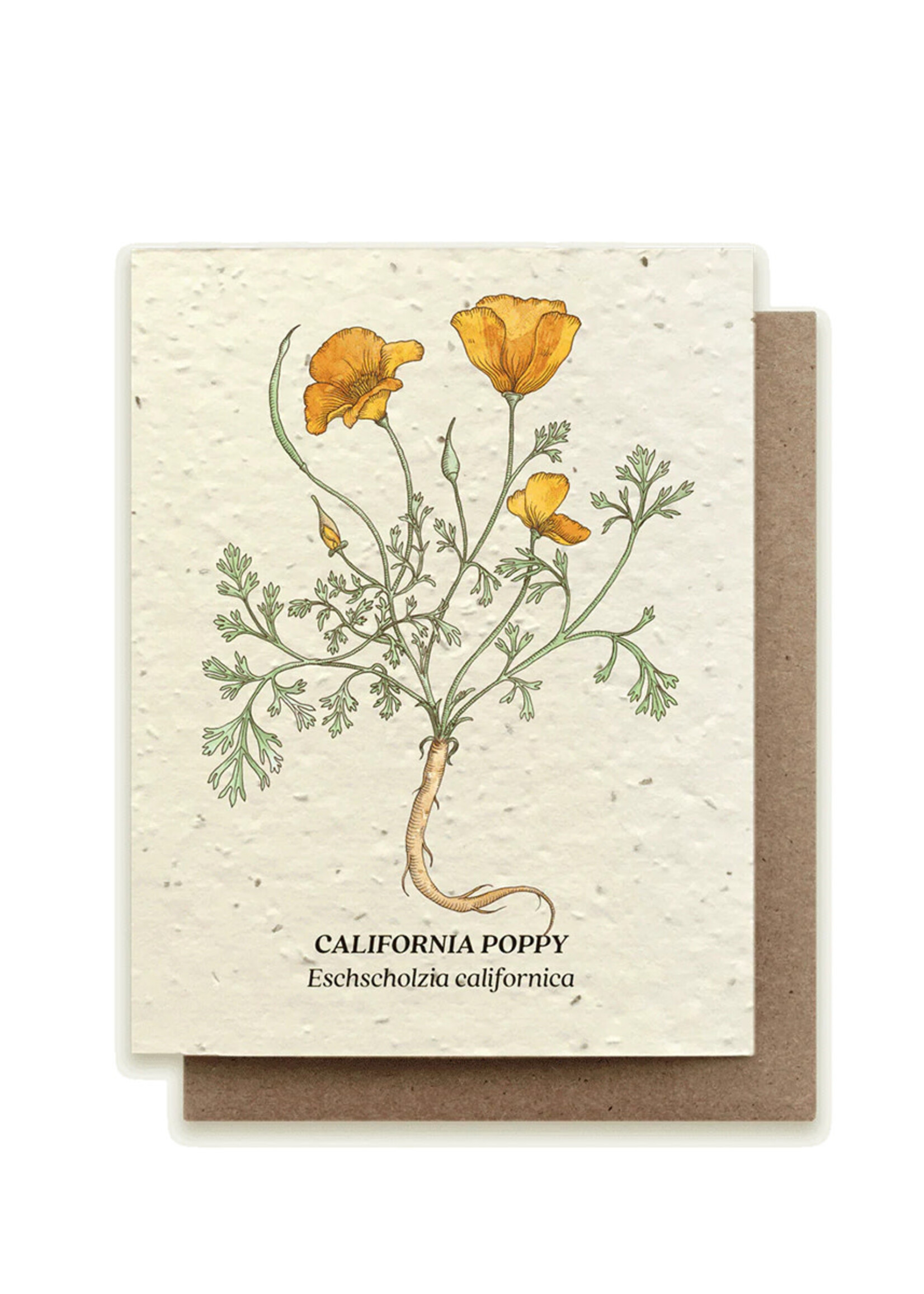 Small Victories California Poppy Plantable Card