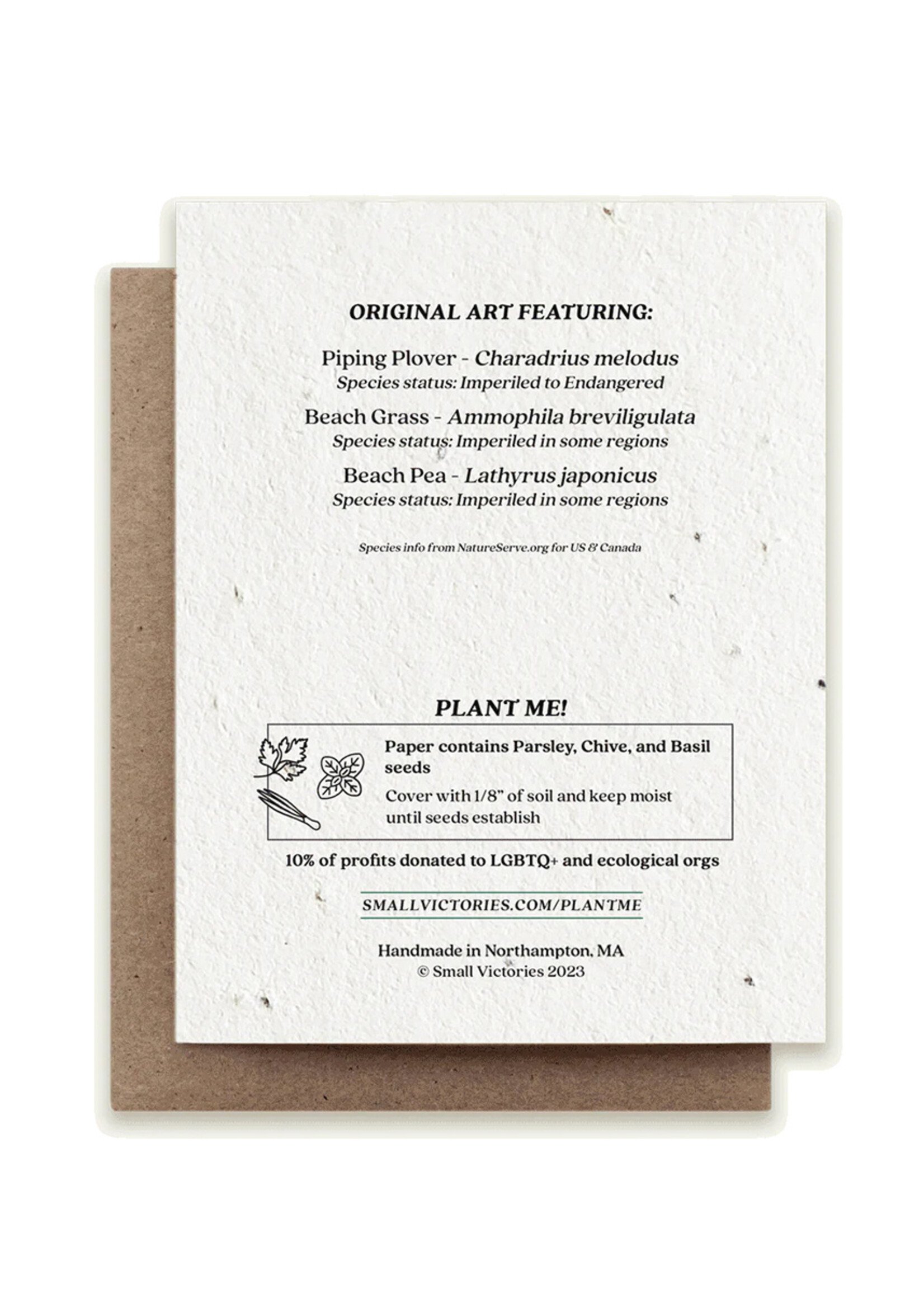 Small Victories Summer Plovers Plantable Card