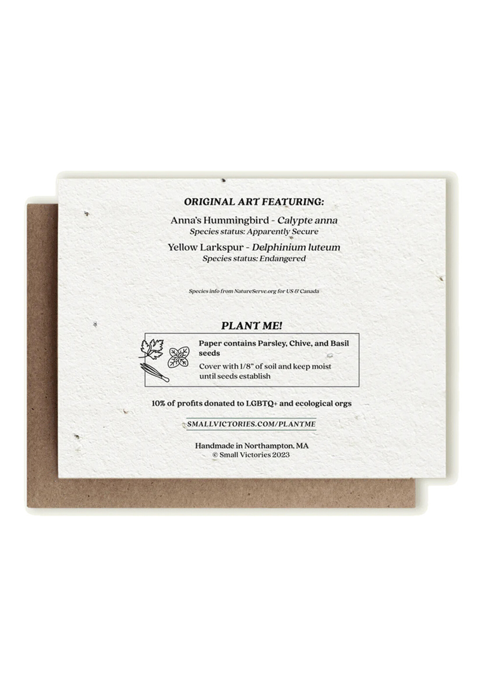 Small Victories Anna's Hummingbird & Yellow Larkspur Plantable Card